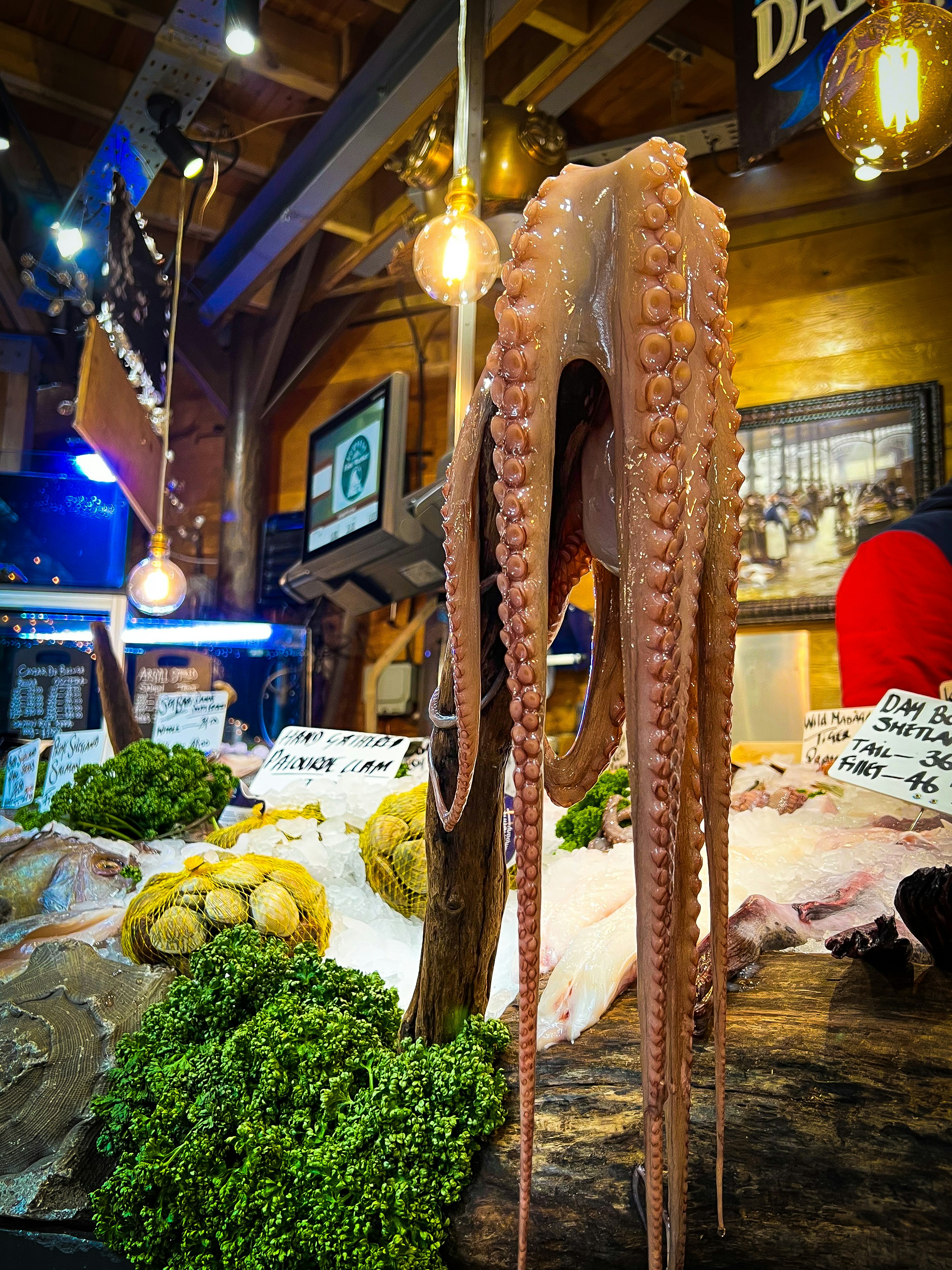 Polvo fresco pendurado em um movimentado mercado de frutos do mar.