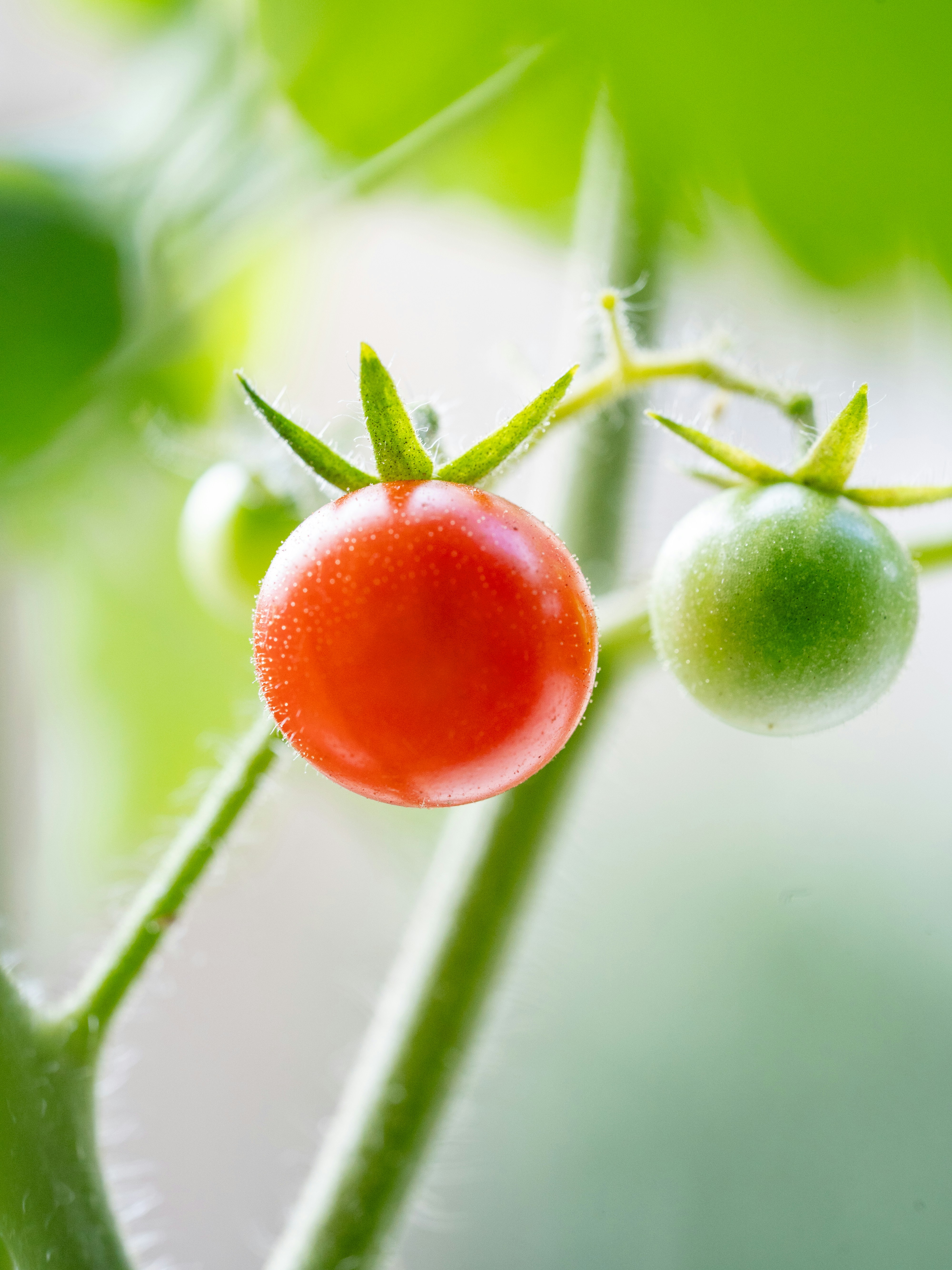 Photo by winstonchen