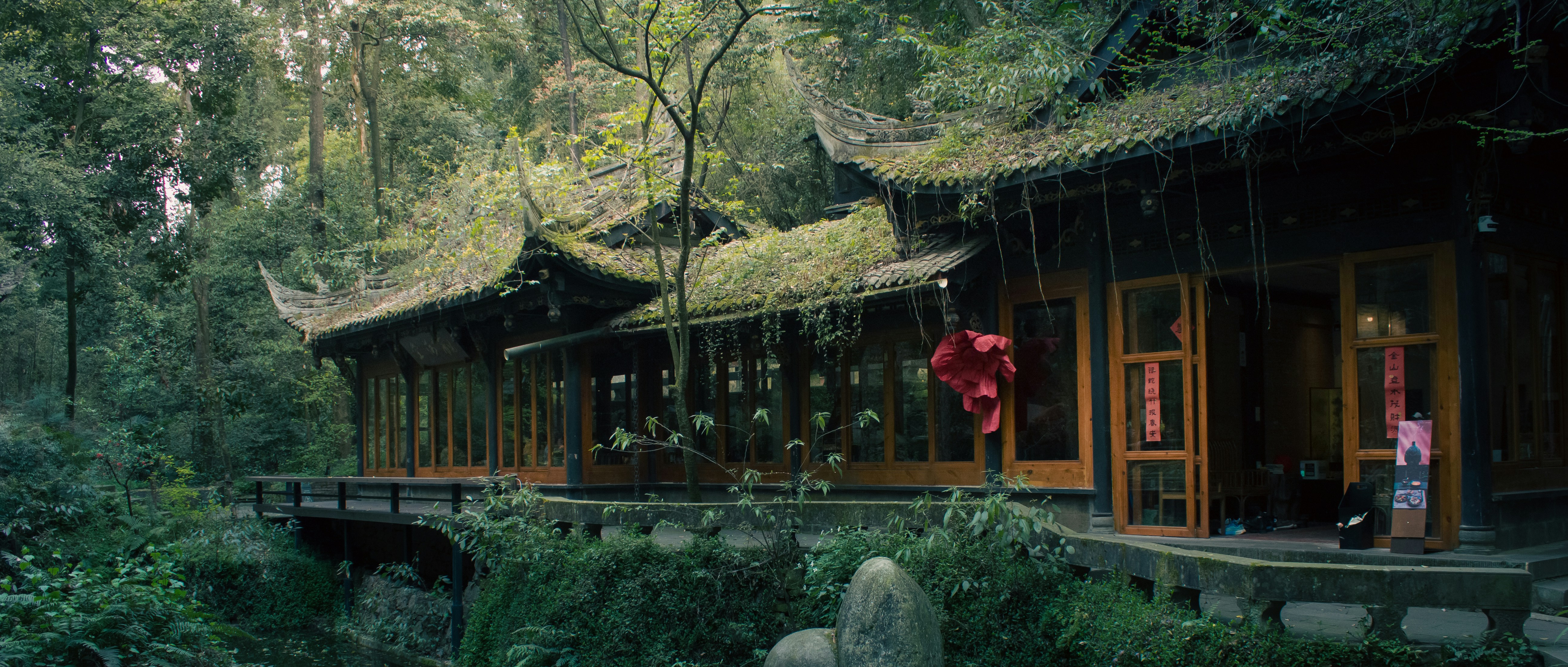 Chengdu Solo Female Travel Safety and Cultural Etiquette Guide 2026