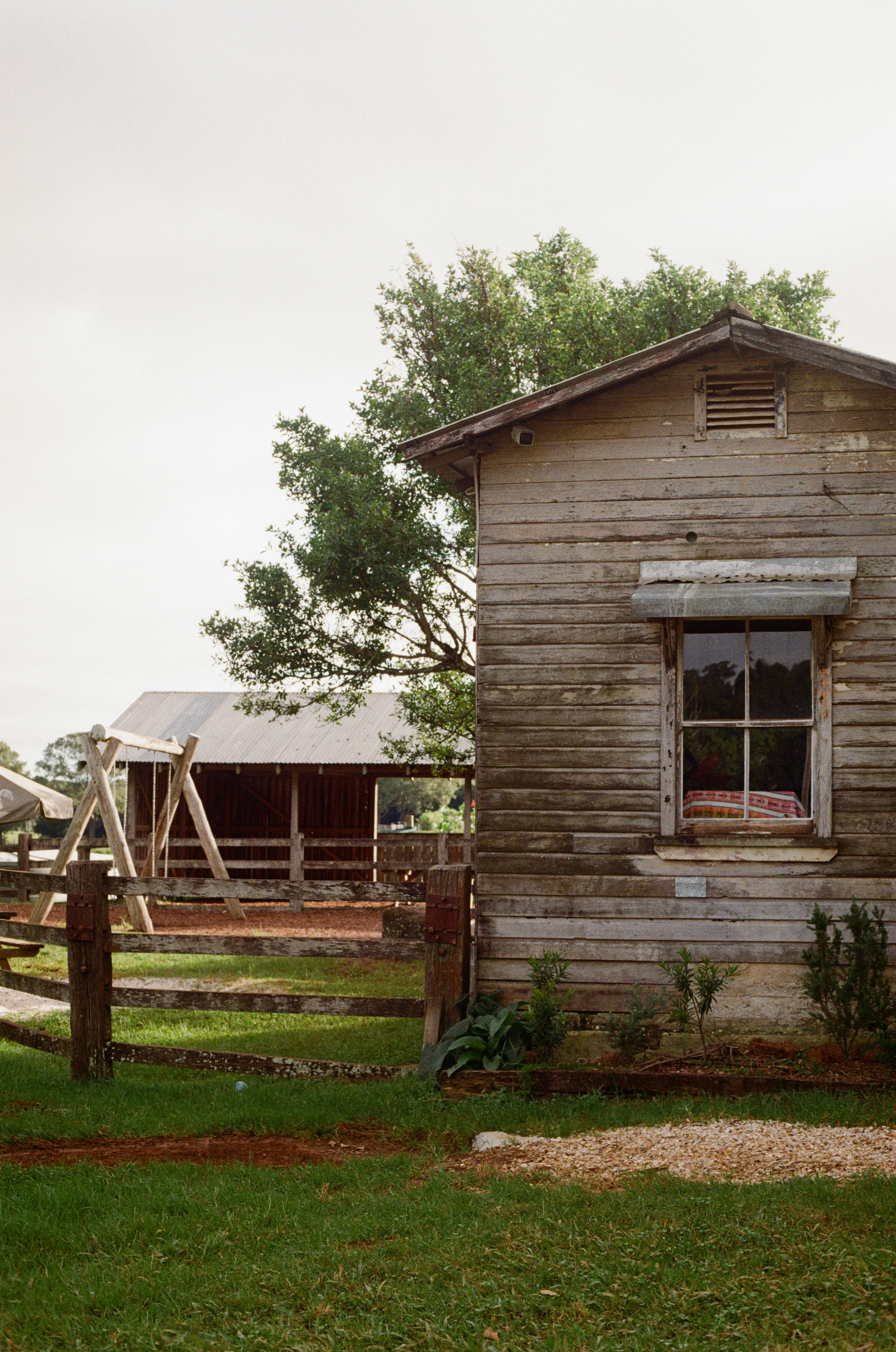 Photo by graceannefully