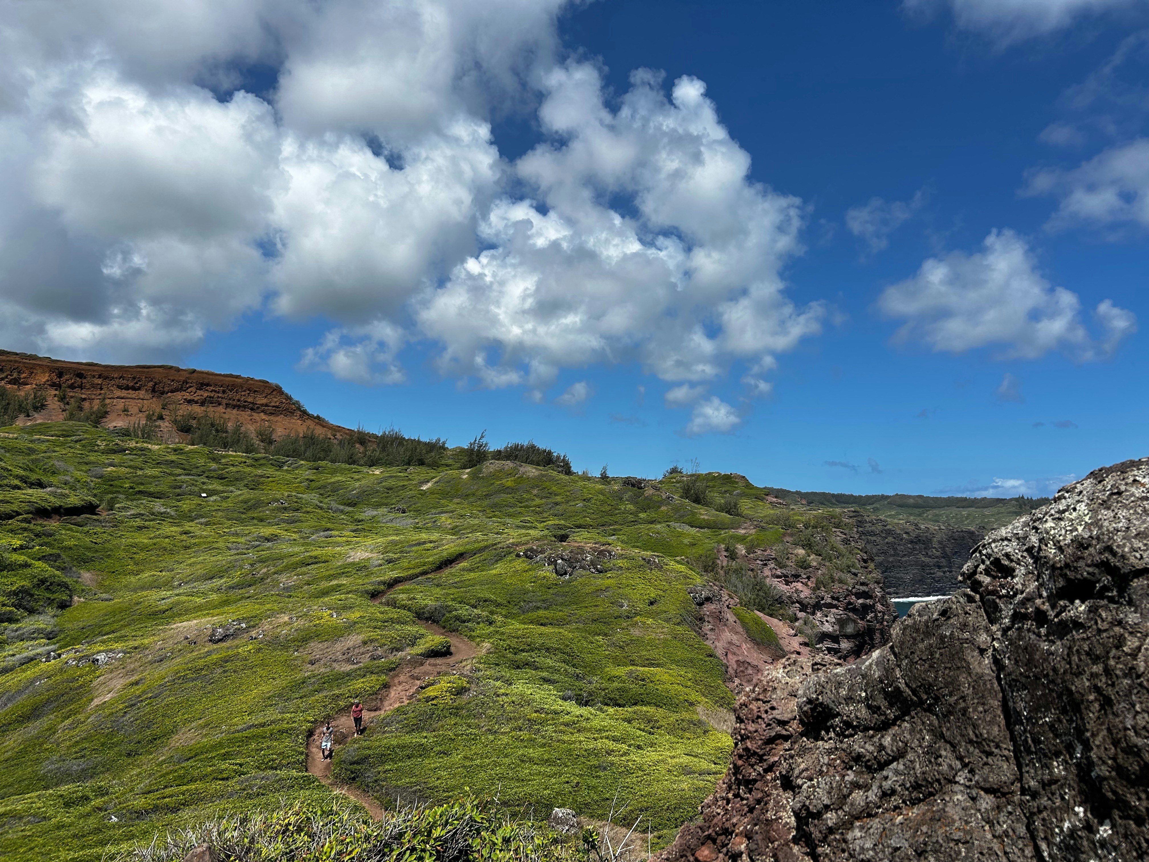 Photo by adialinkous