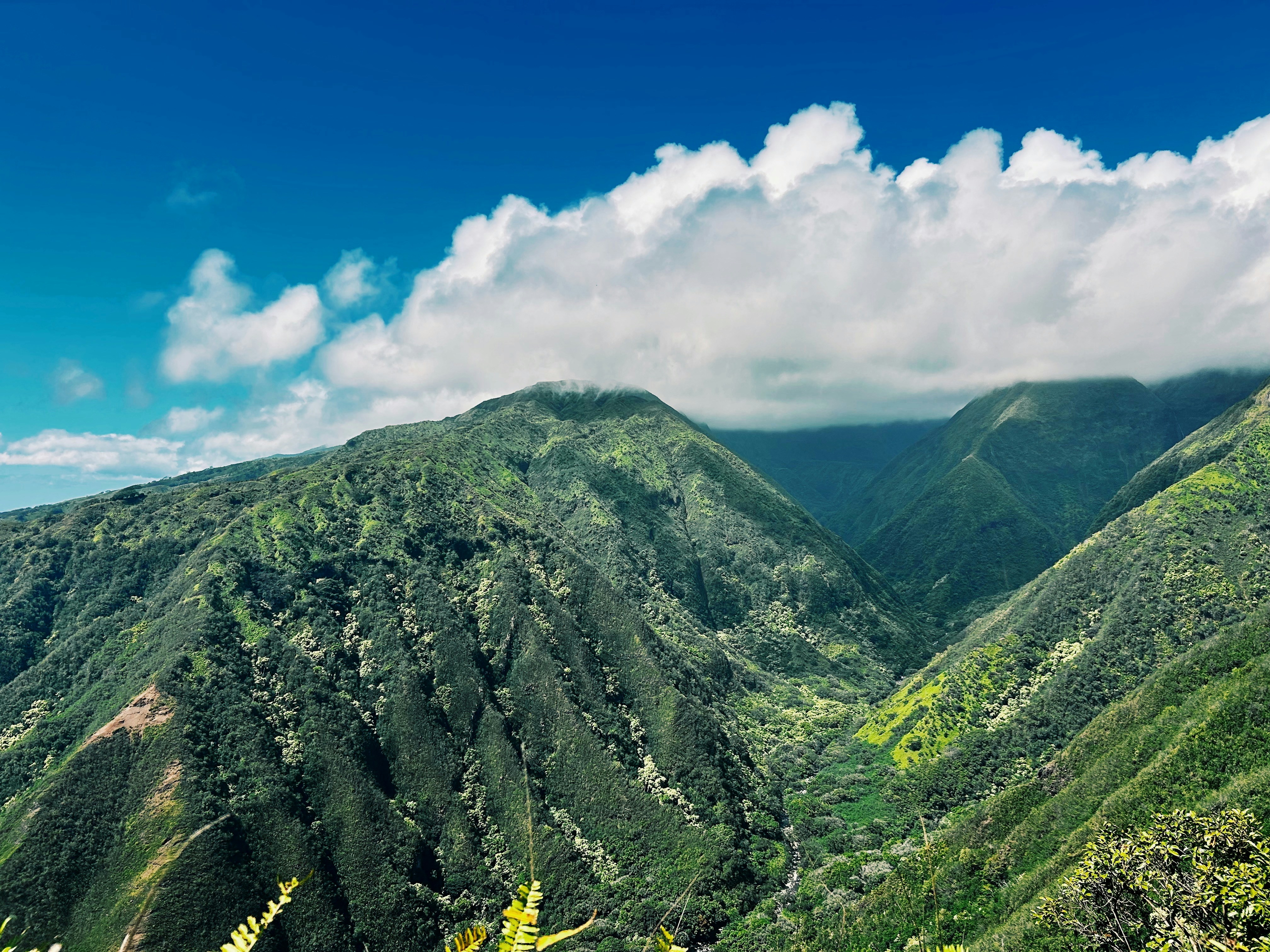 Photo by adialinkous