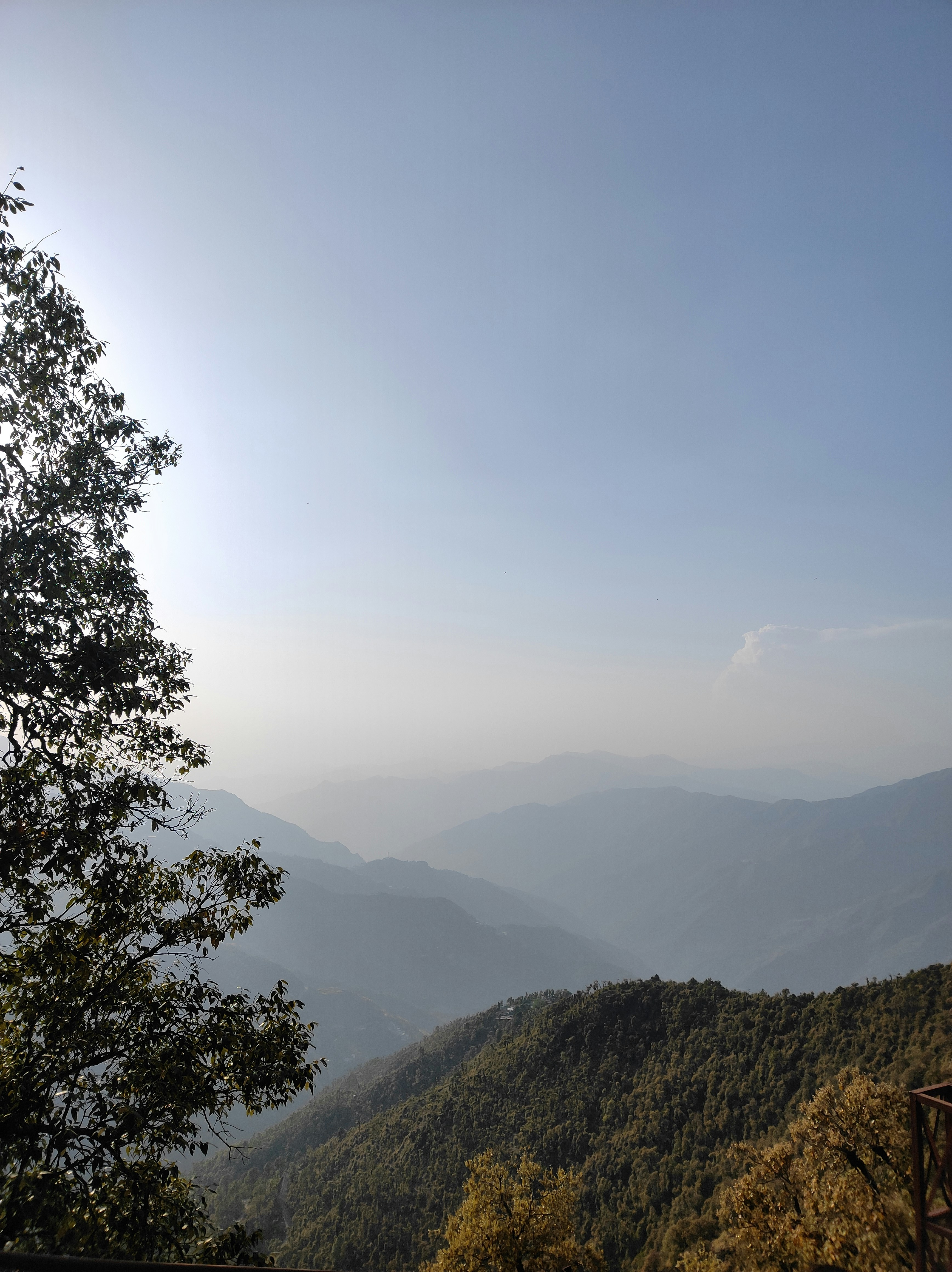 Photo by wanderingindian