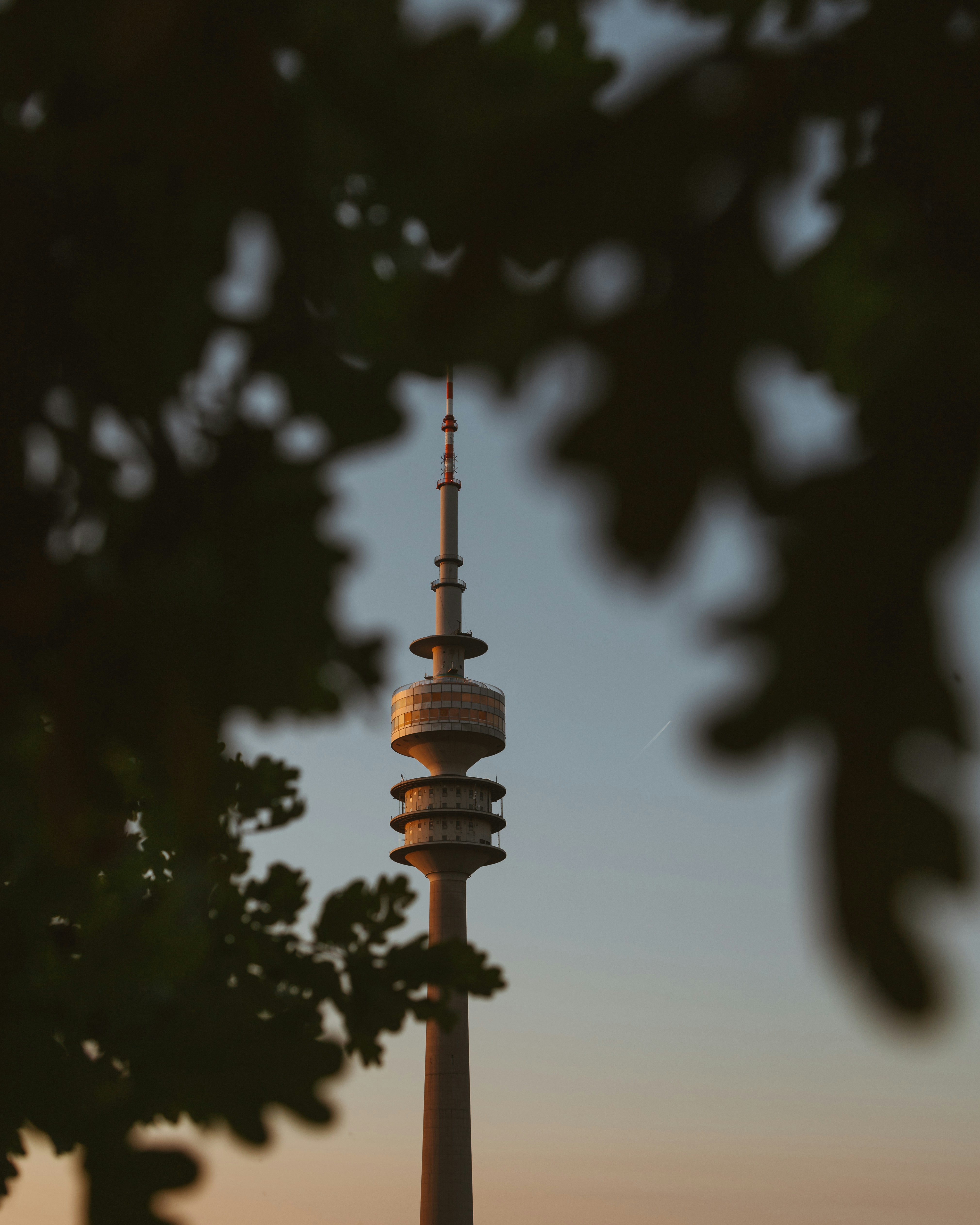 Photo by shutter_speed_