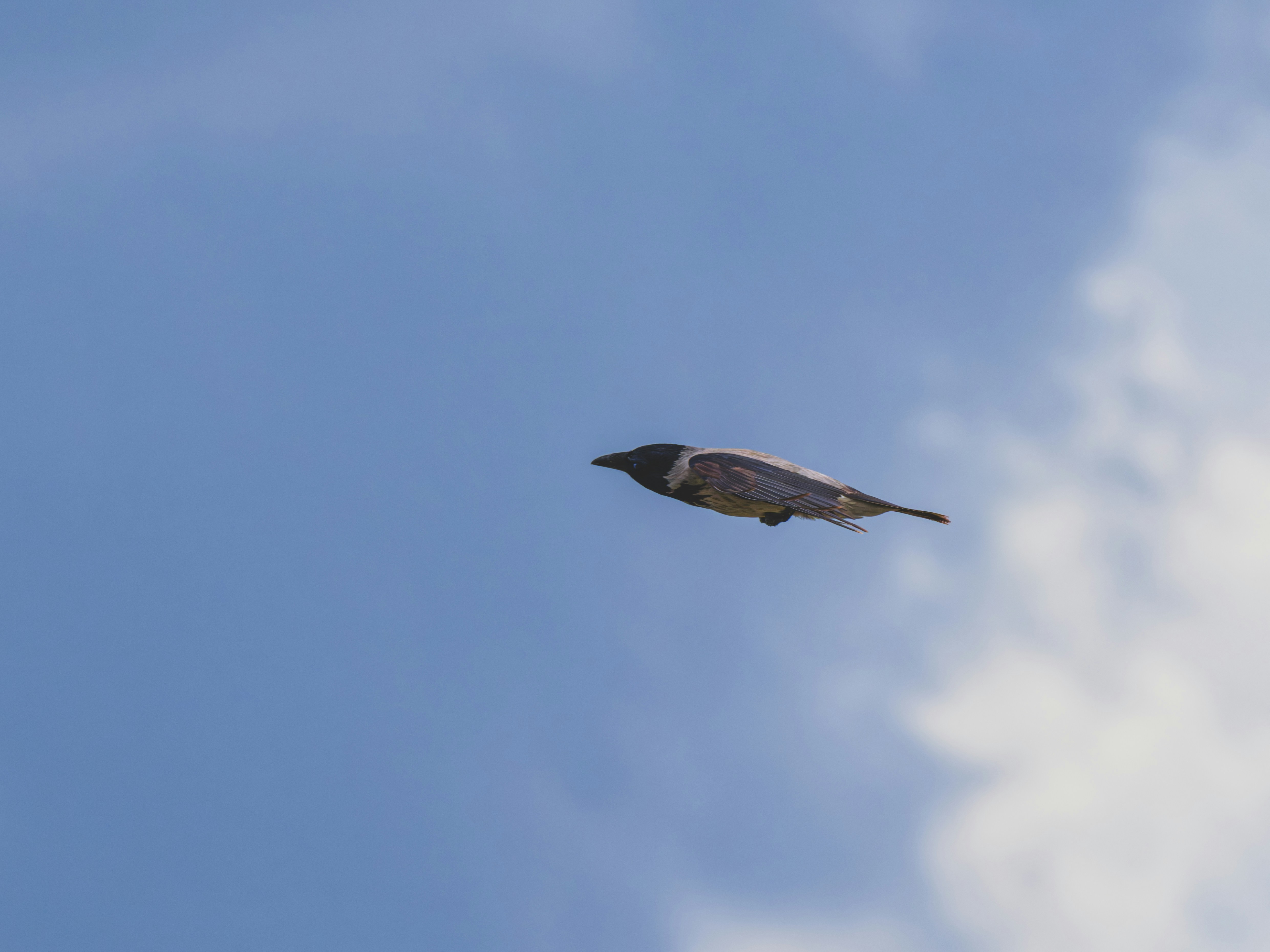 Photo by enginakyurt