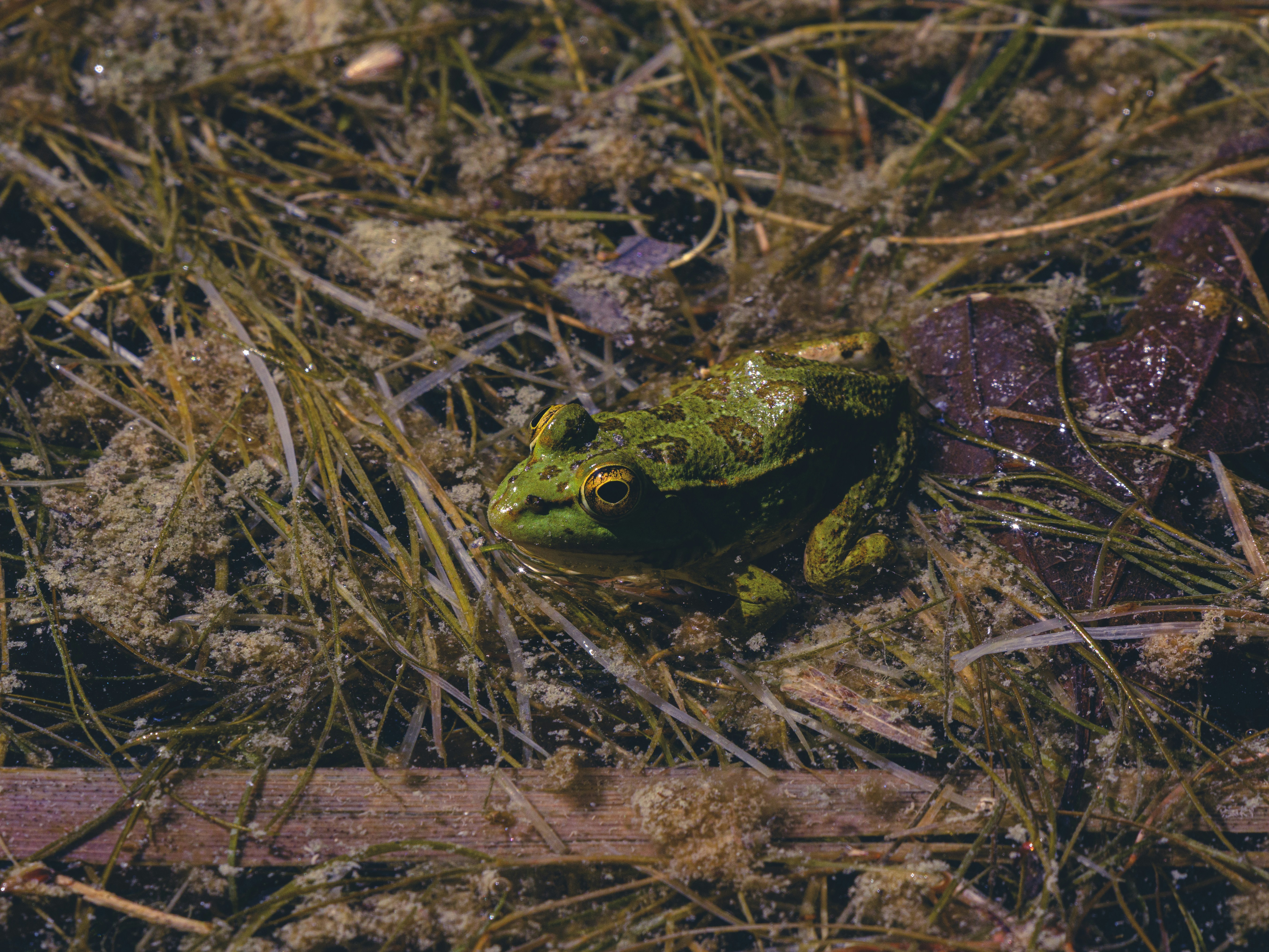 Photo by enginakyurt