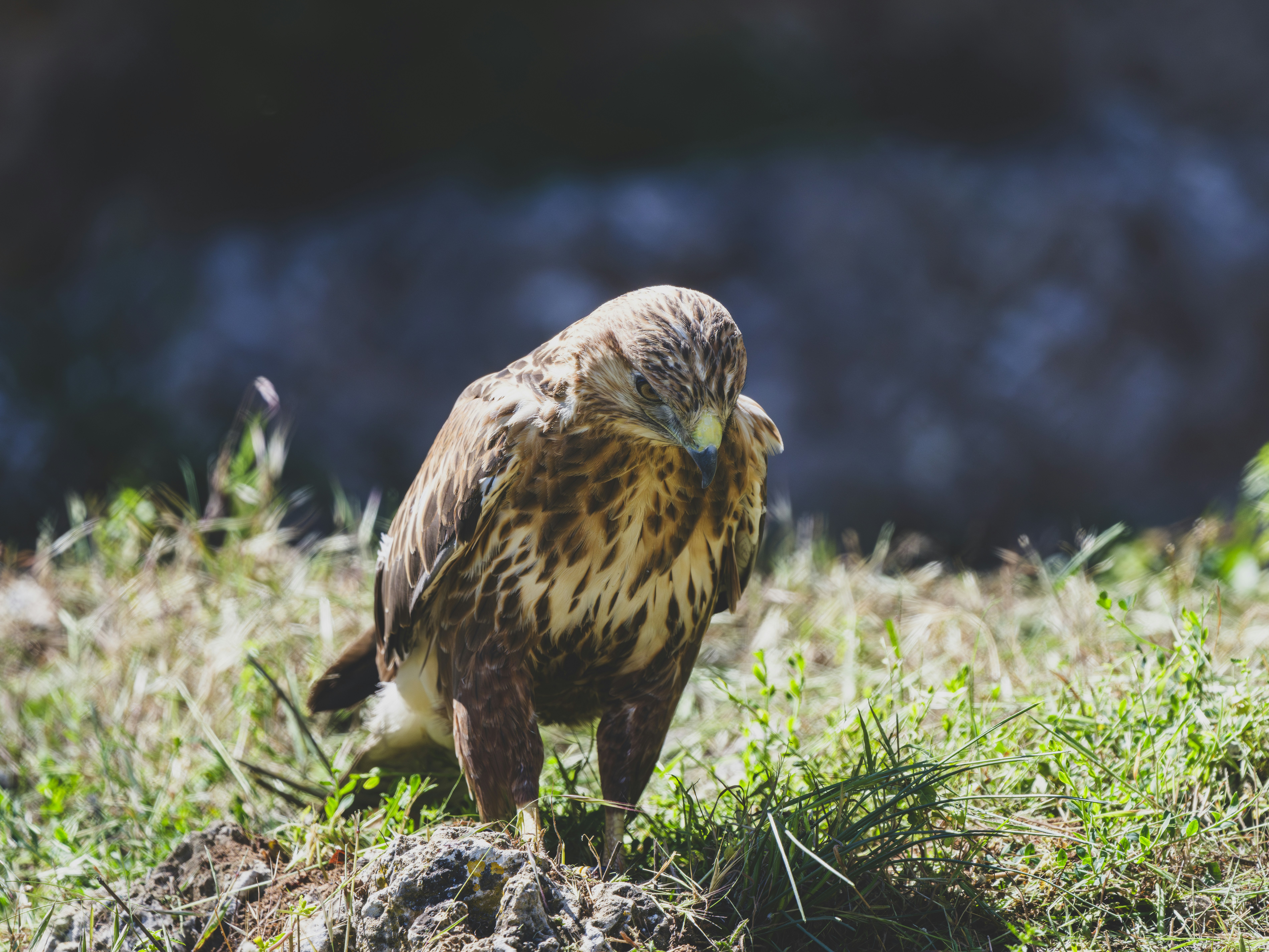 Photo by enginakyurt