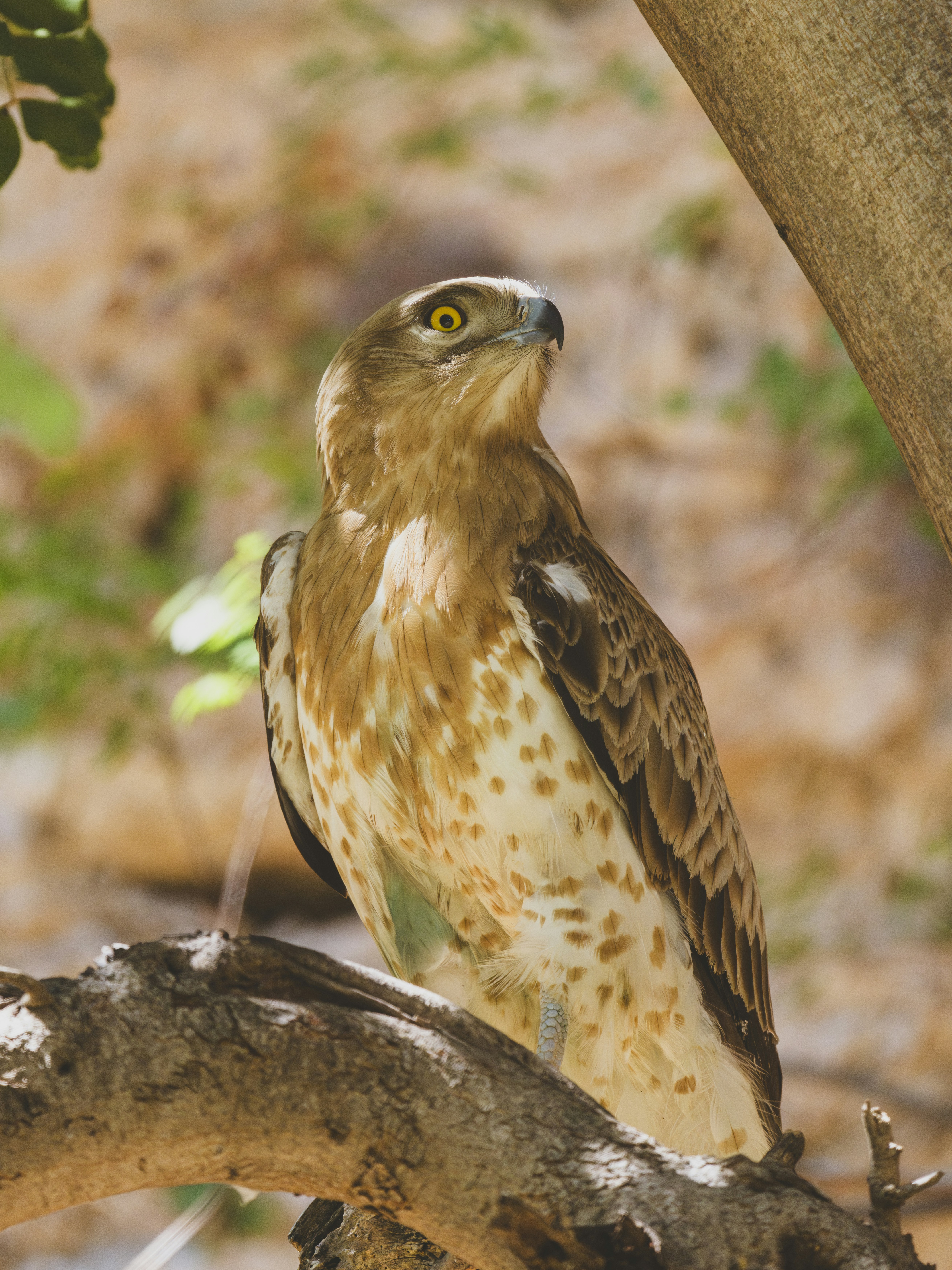 Photo by enginakyurt