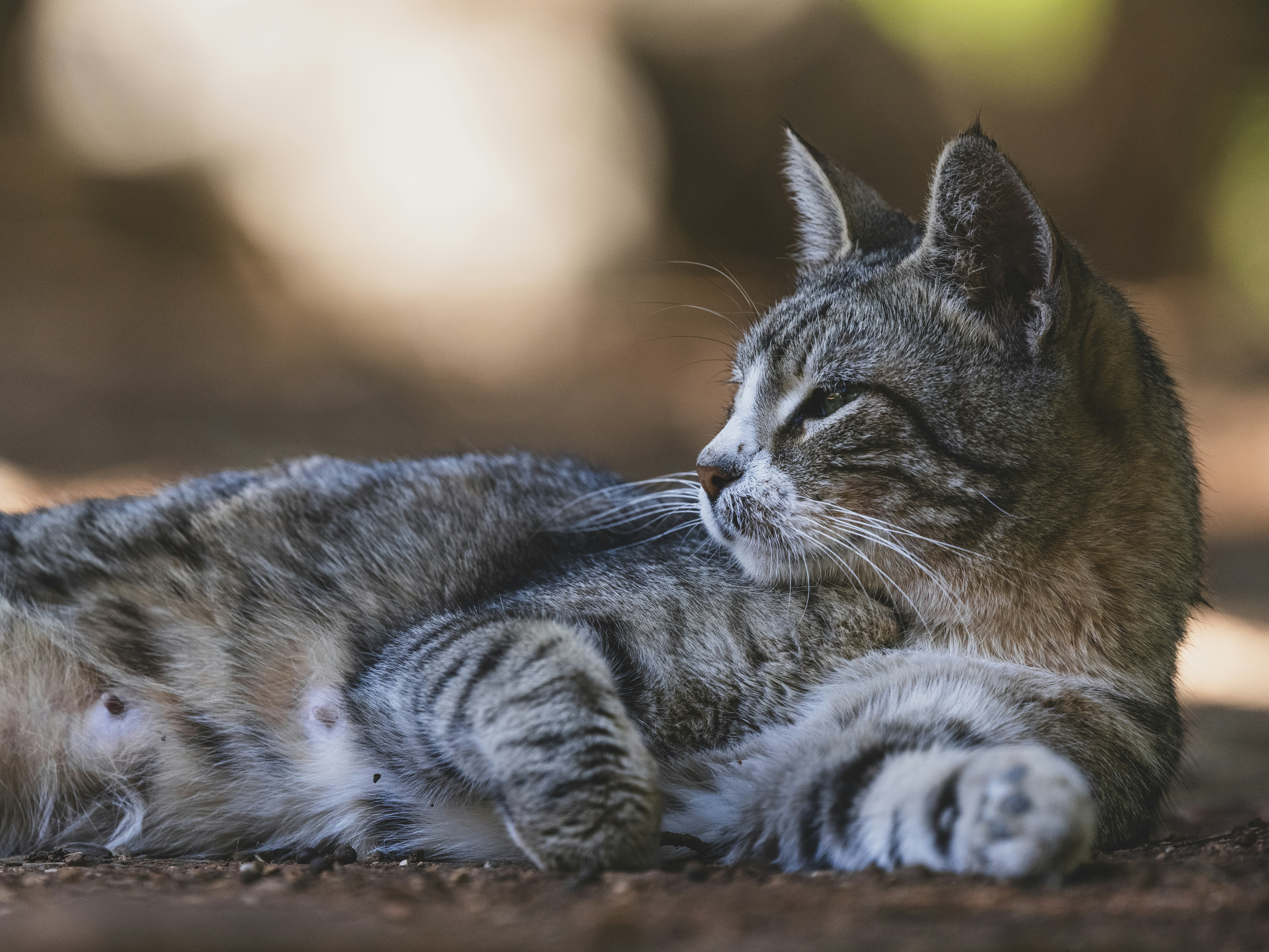 Photo by enginakyurt