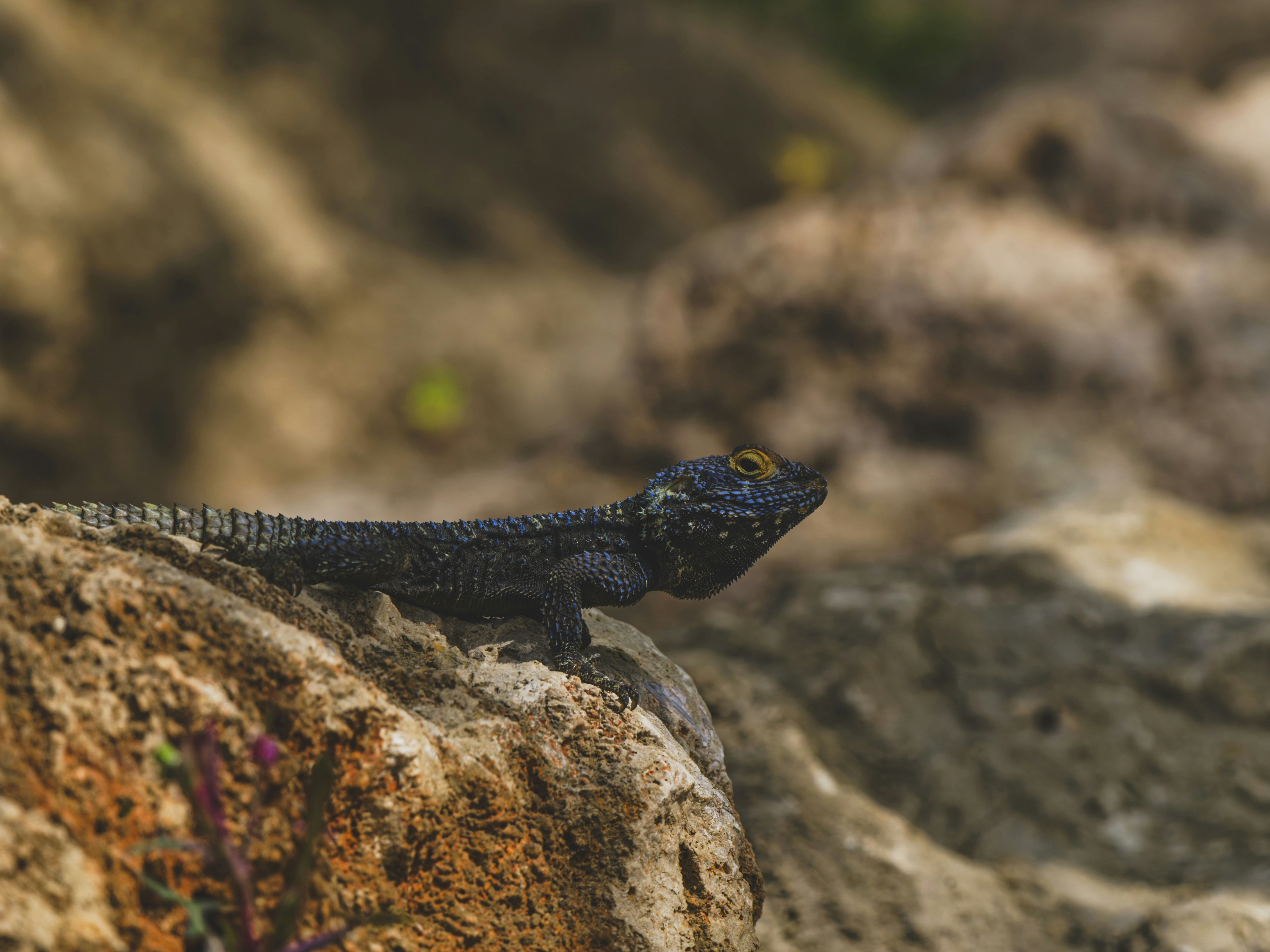 Photo by enginakyurt