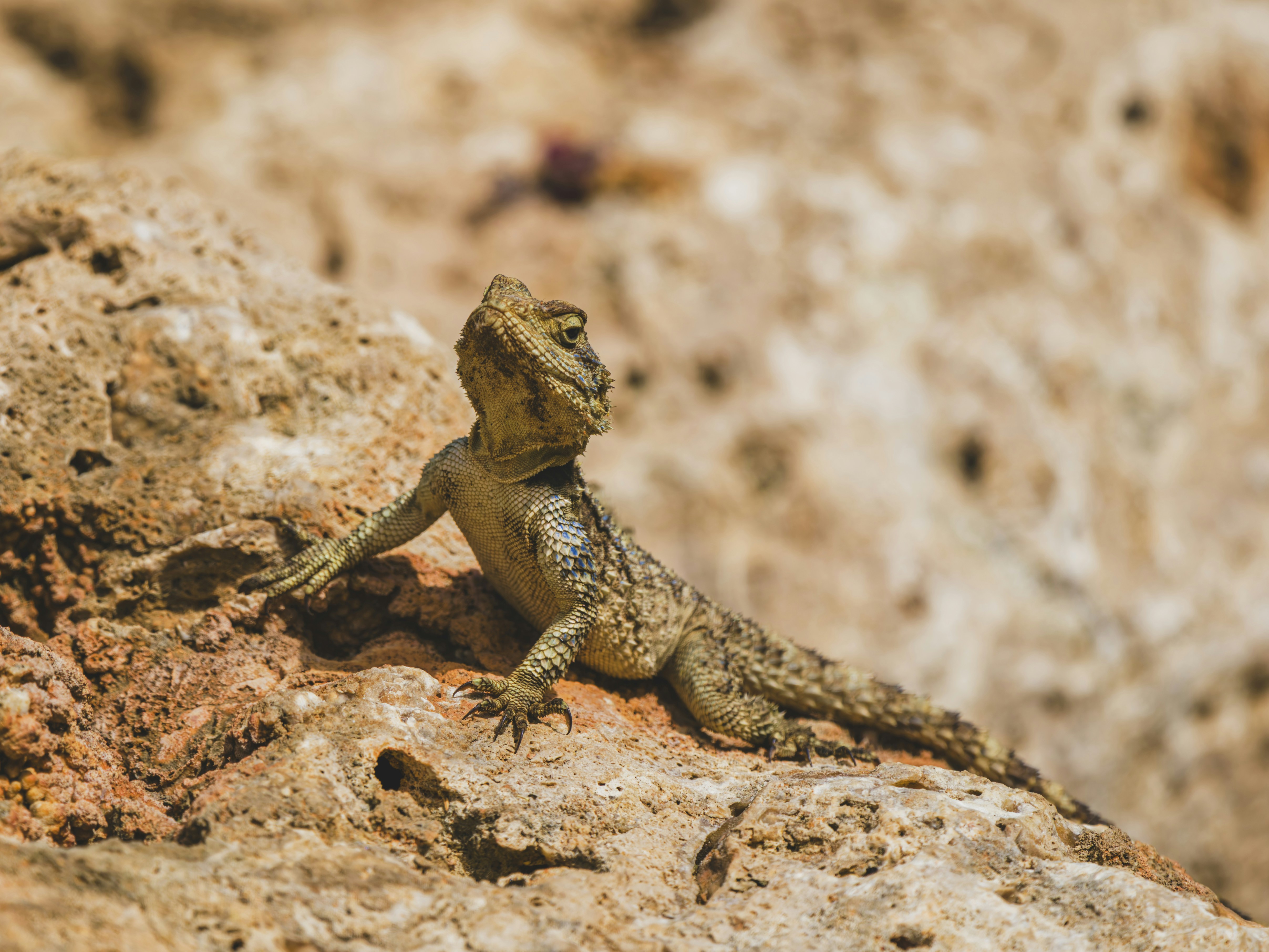 Photo by enginakyurt