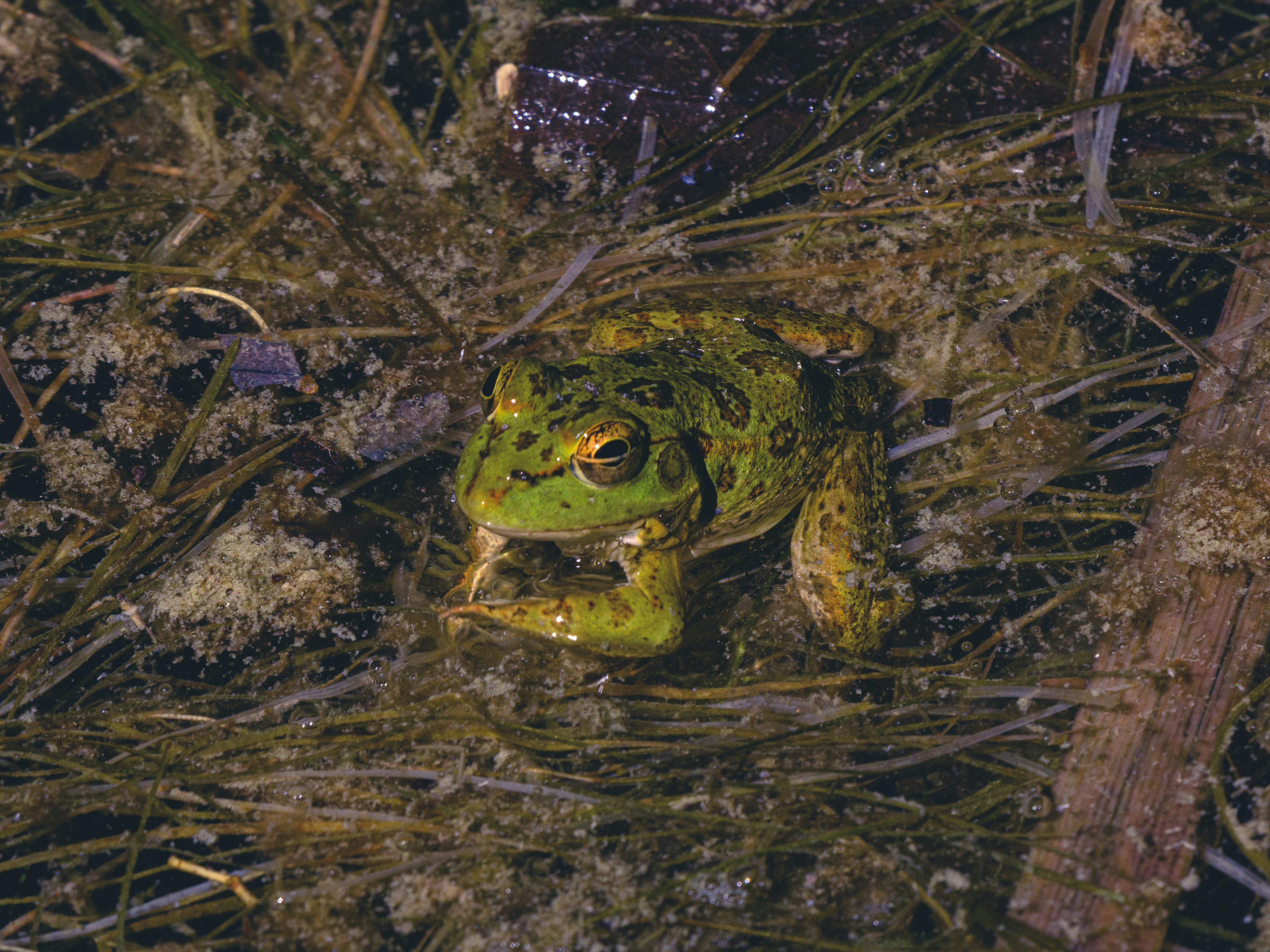 Photo by enginakyurt