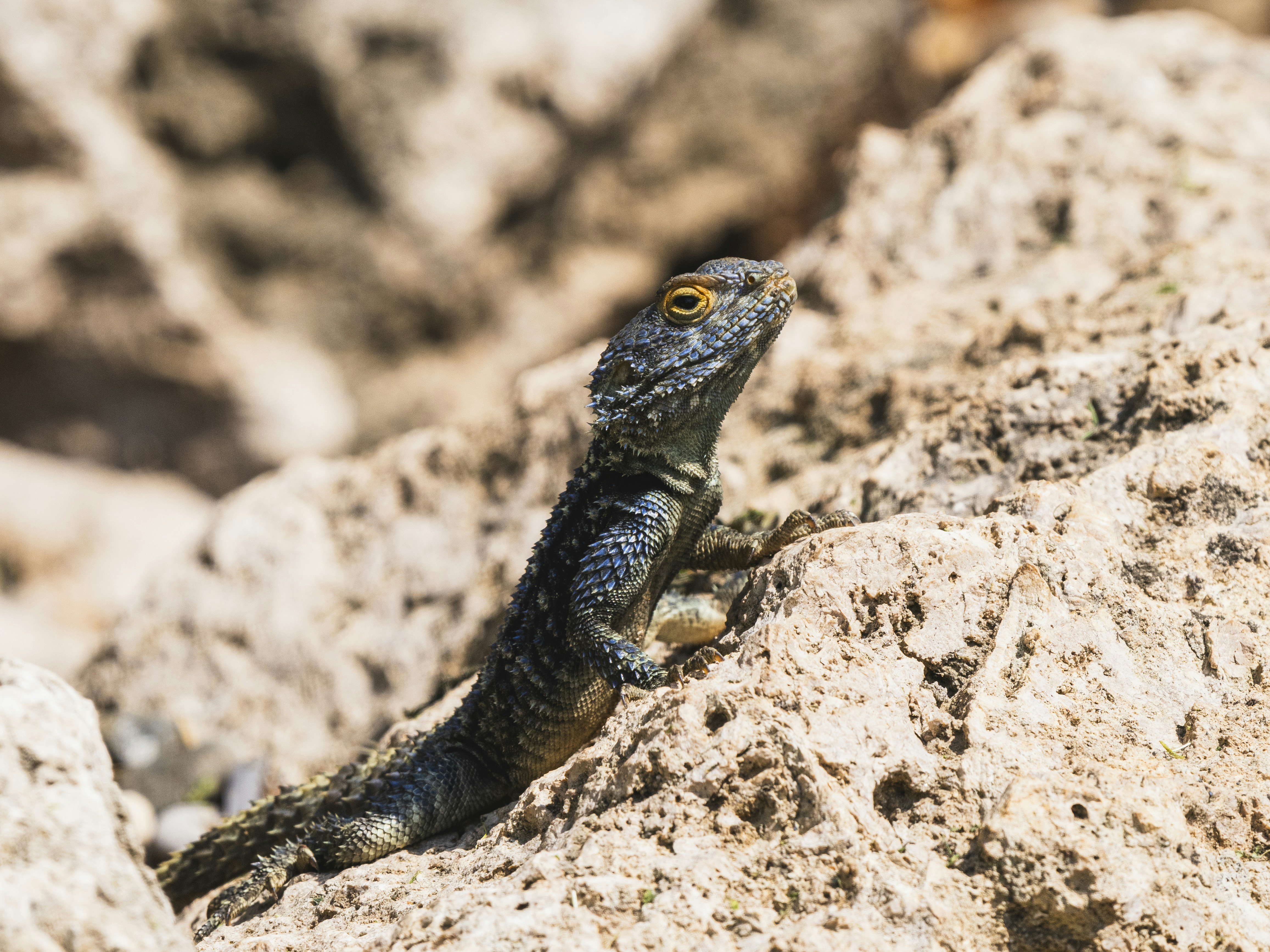 Photo by enginakyurt