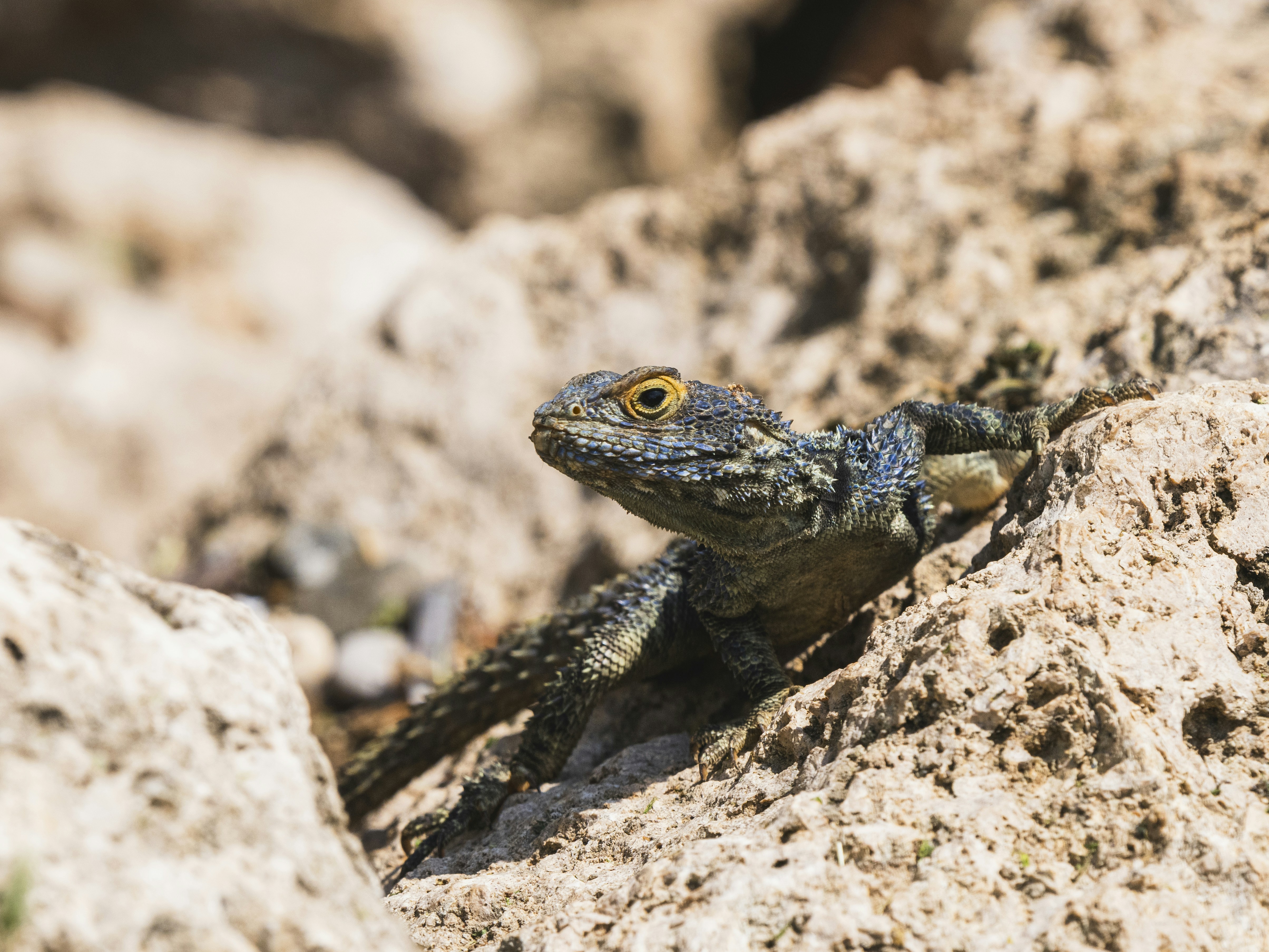 Photo by enginakyurt