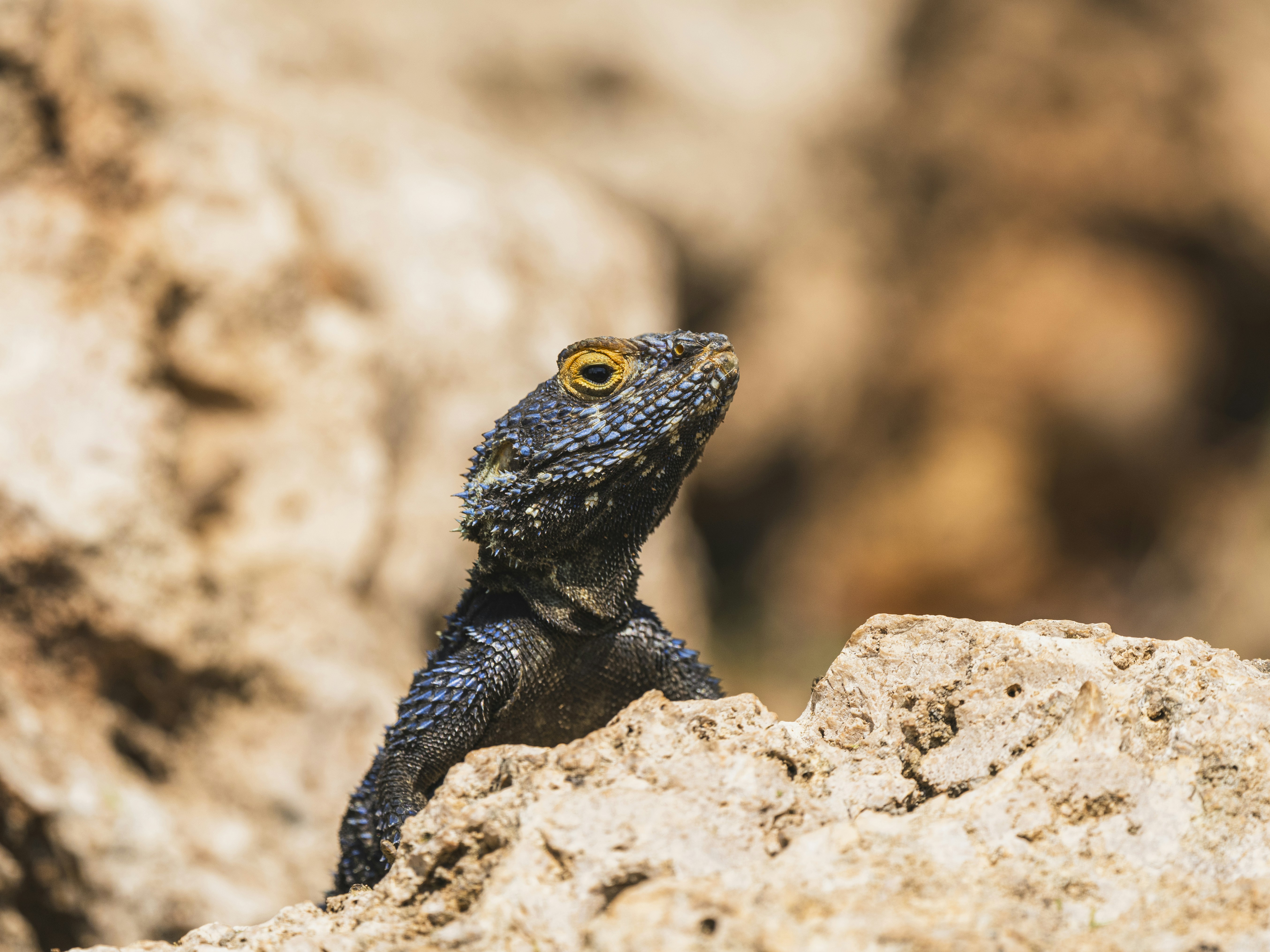 Photo by enginakyurt