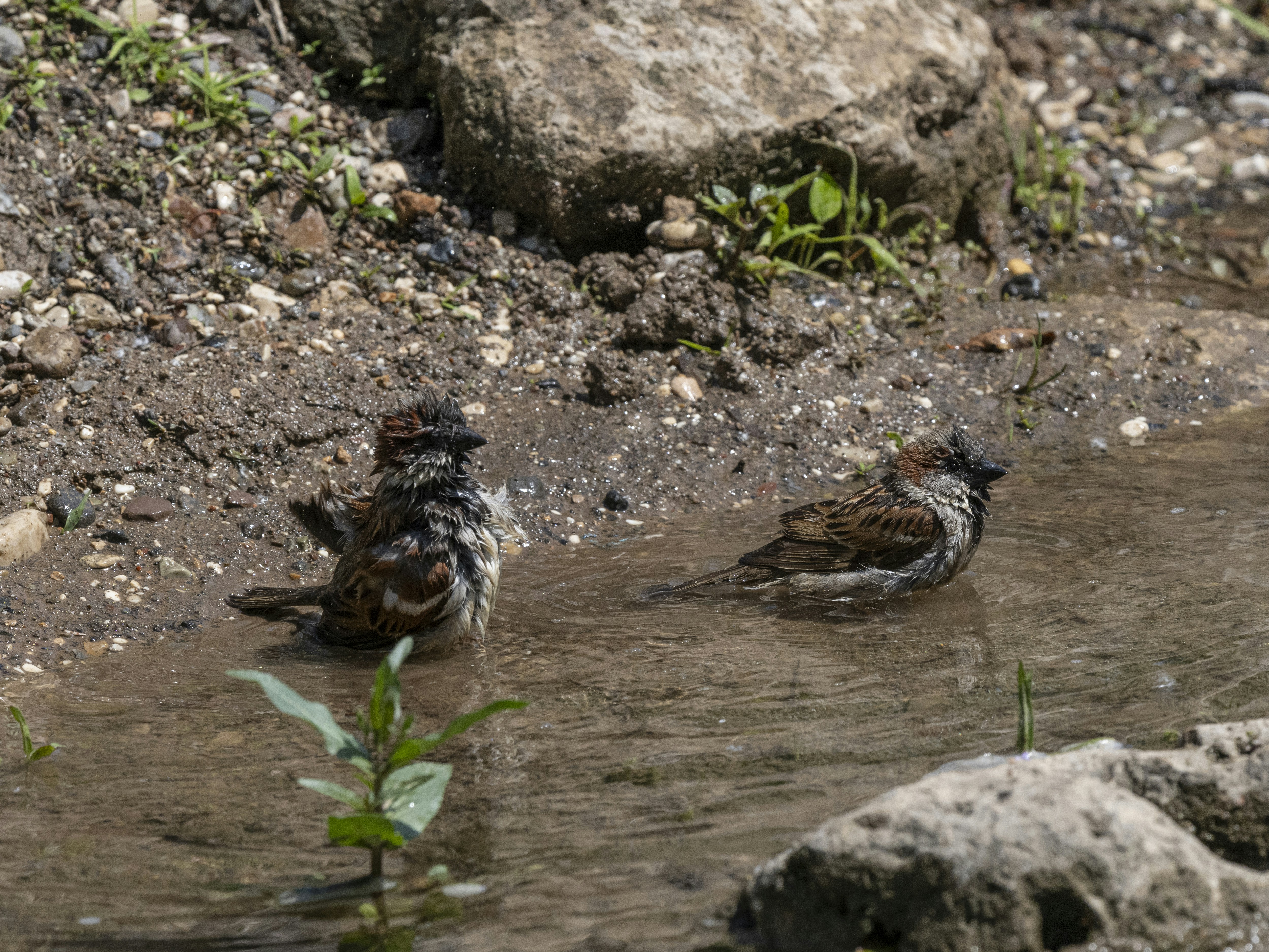Photo by enginakyurt