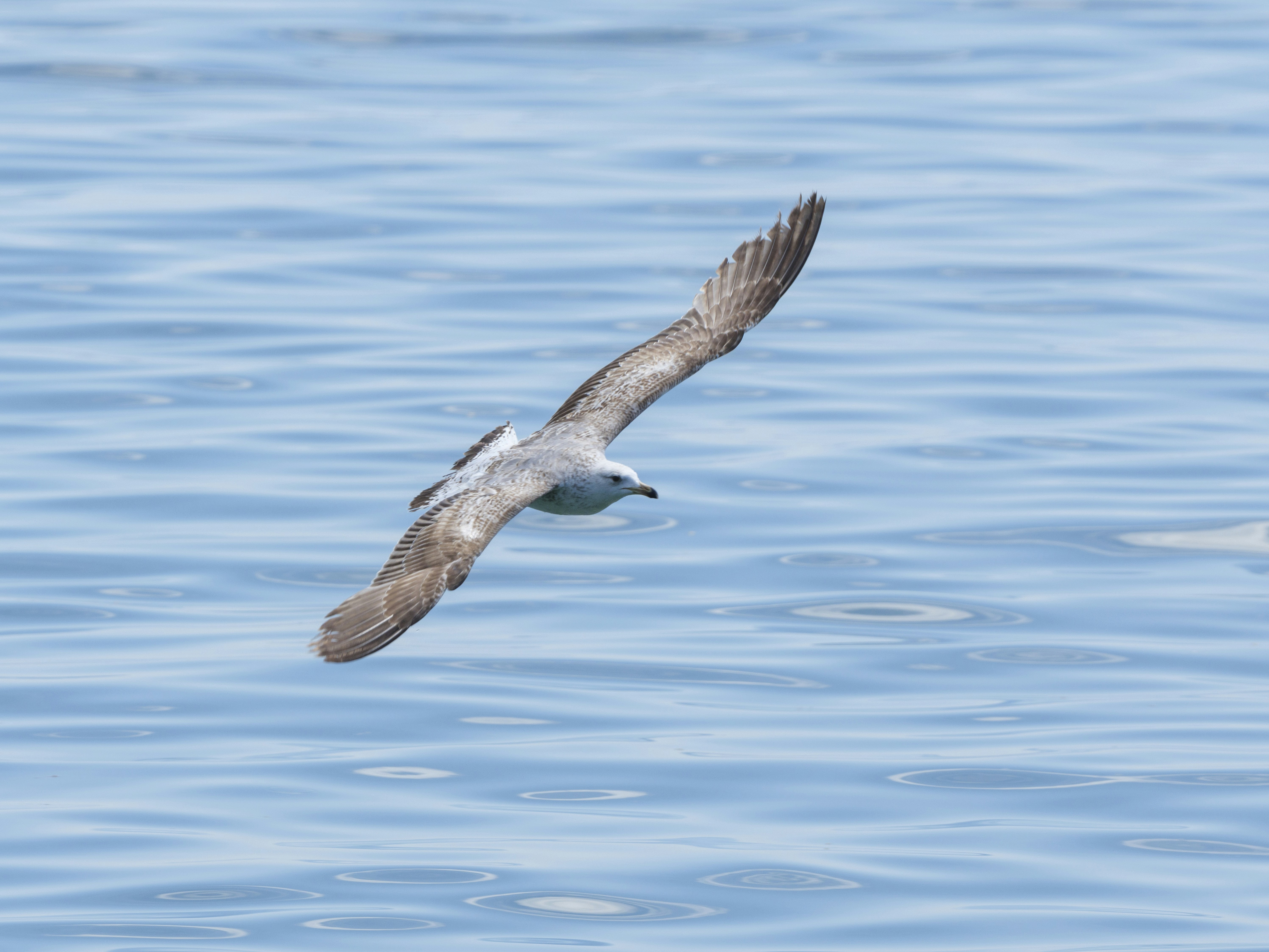 Photo by enginakyurt