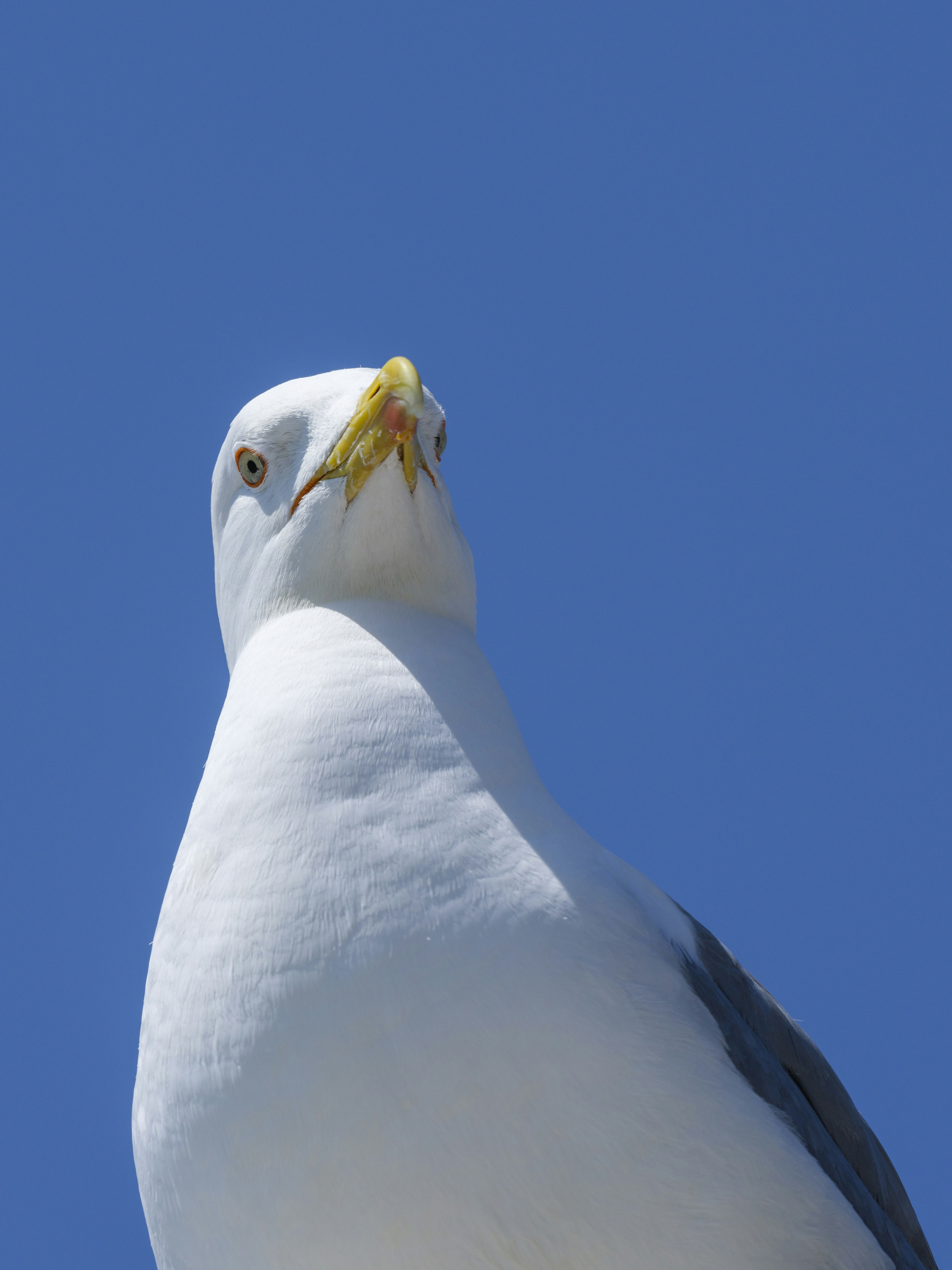 Photo by enginakyurt