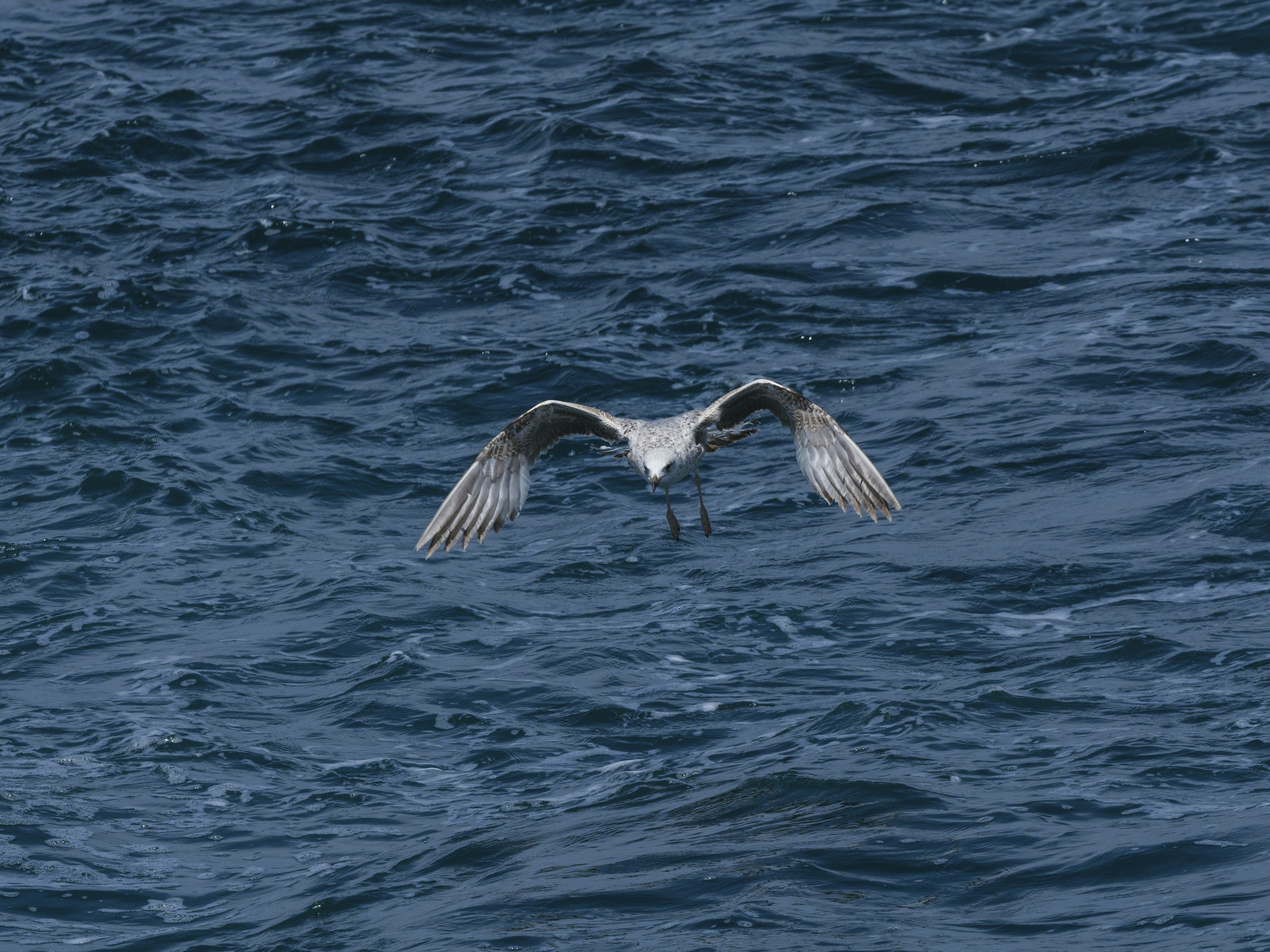 Photo by enginakyurt