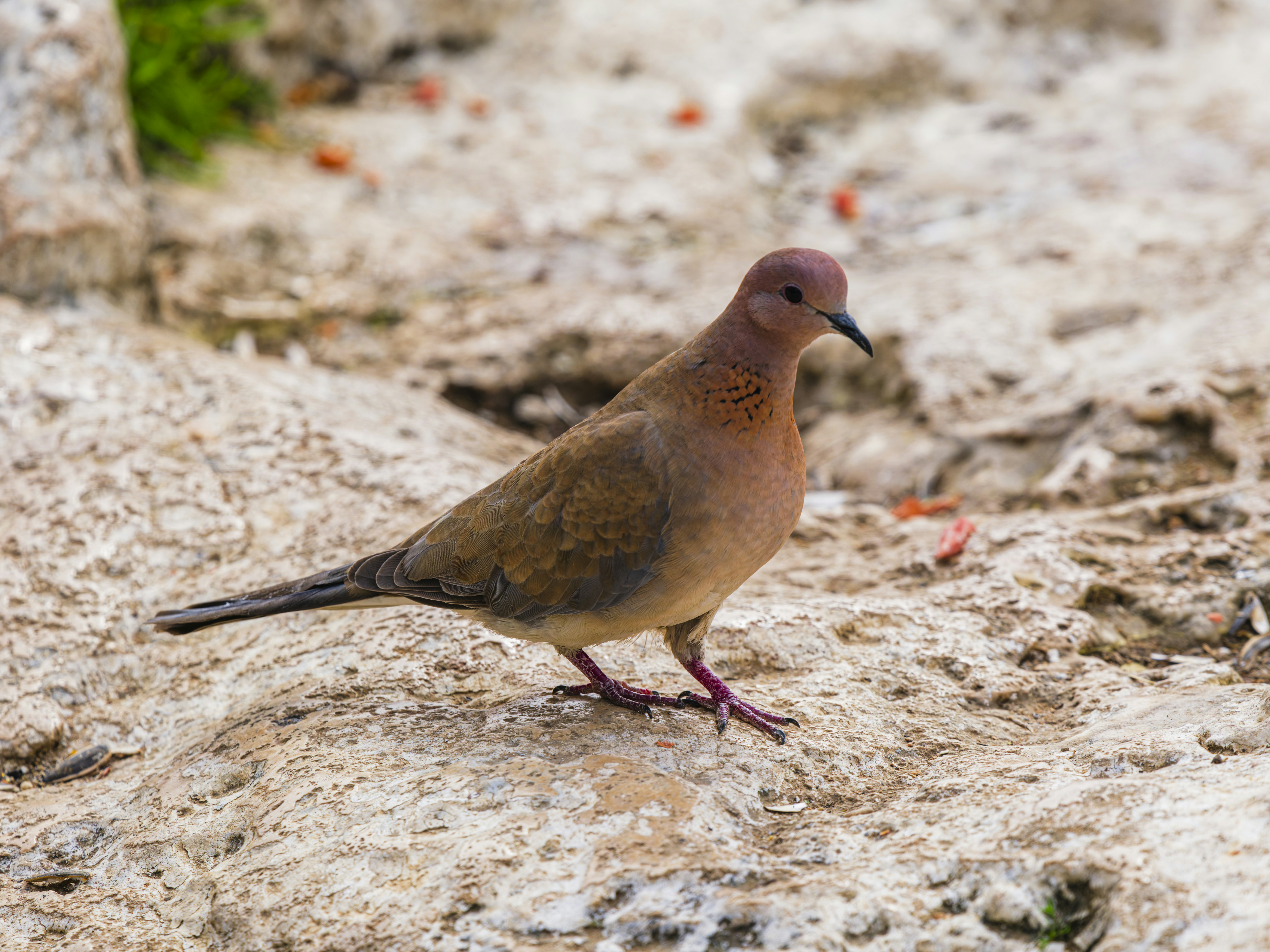 Photo by enginakyurt