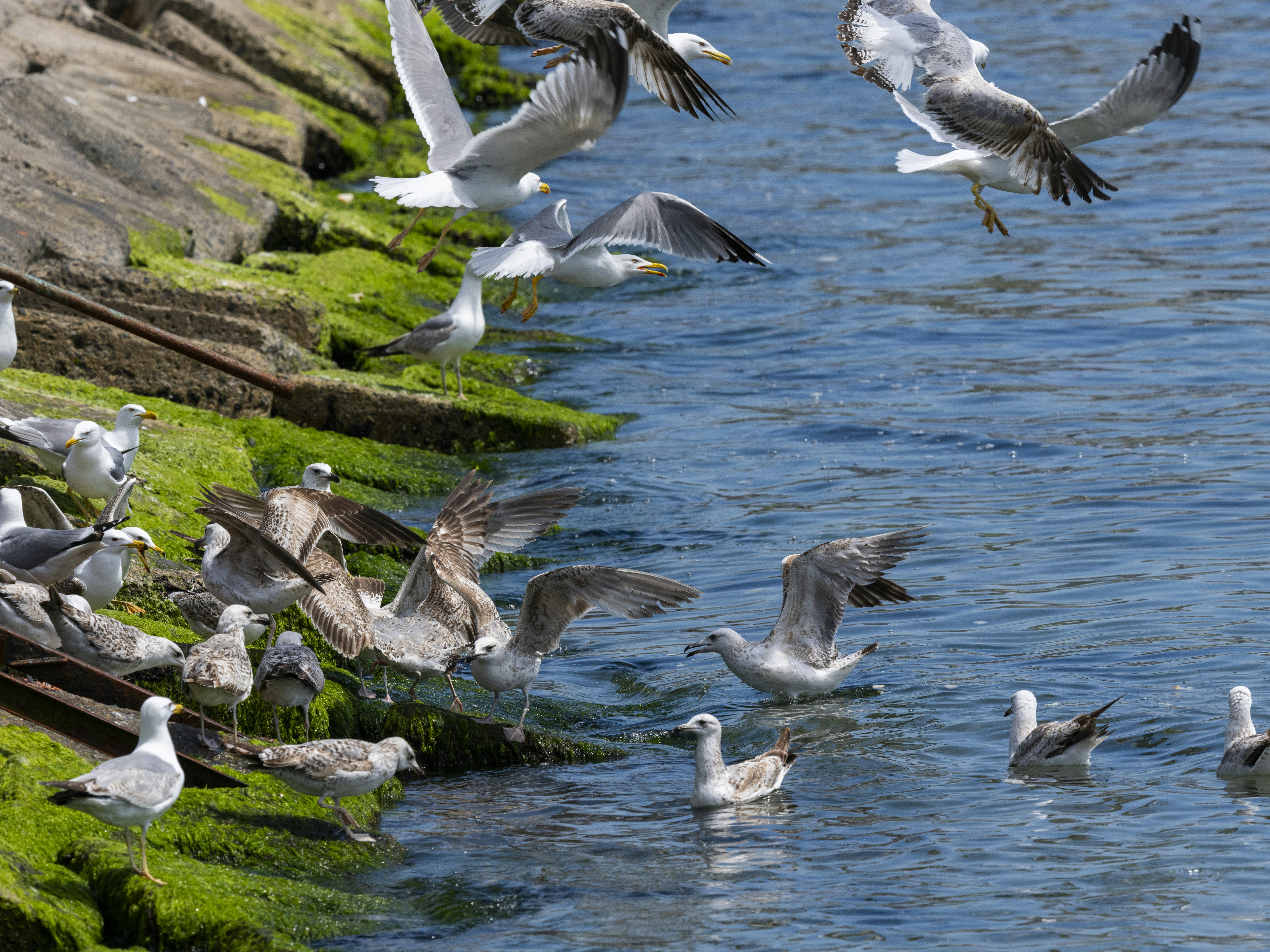 Photo by enginakyurt