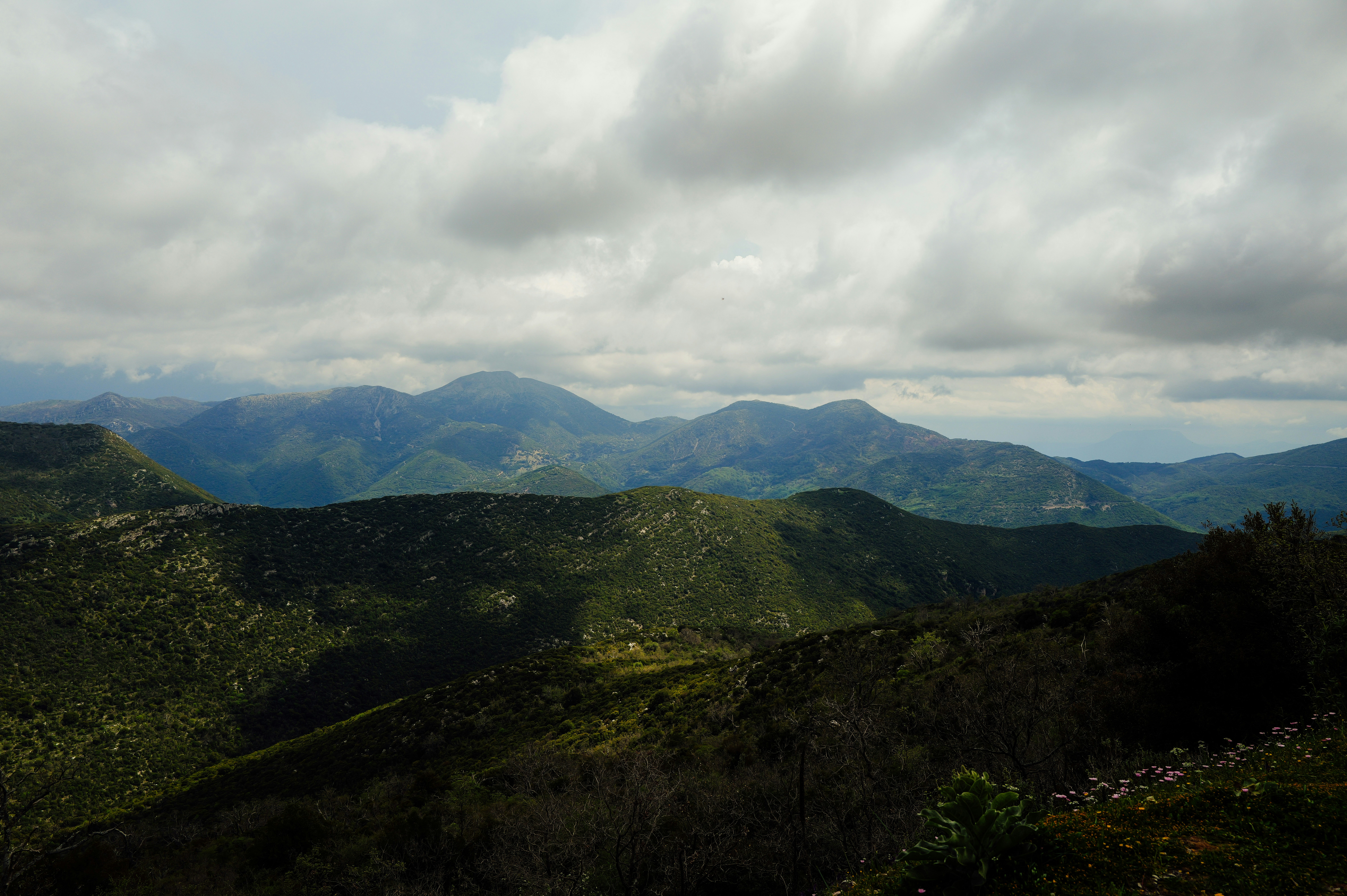 Photo by adrienolichon