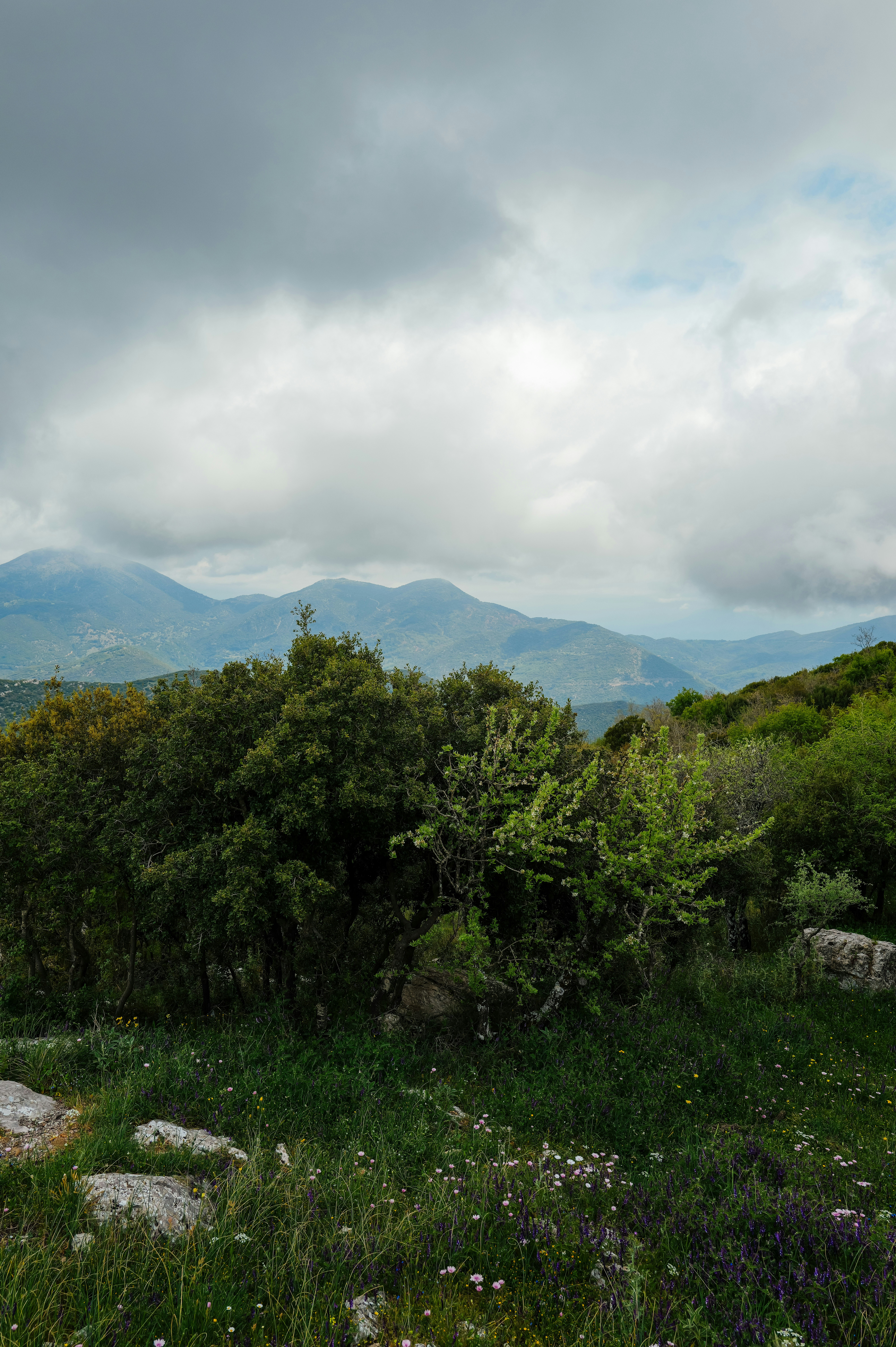 Photo by adrienolichon