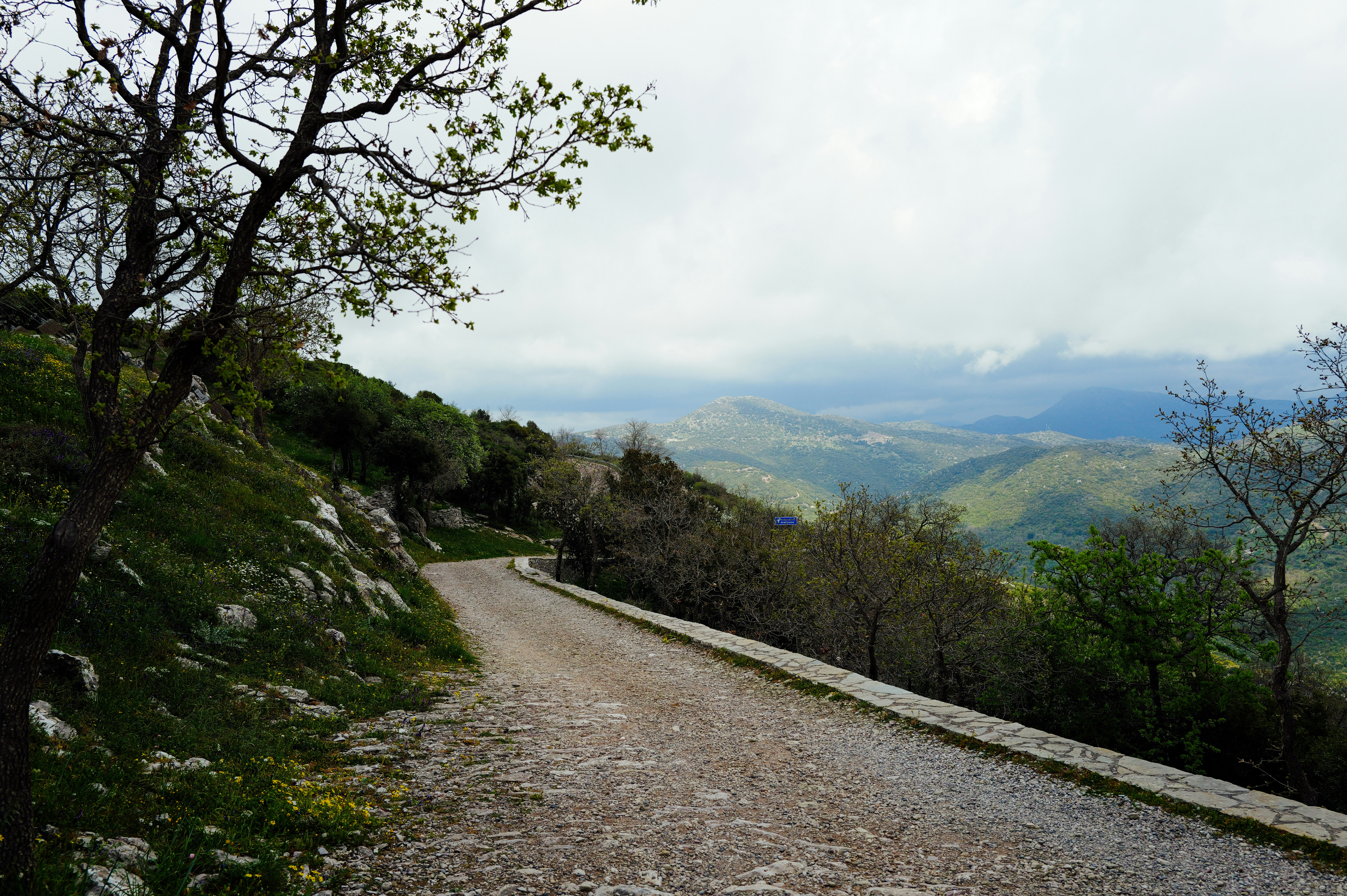 Photo by adrienolichon