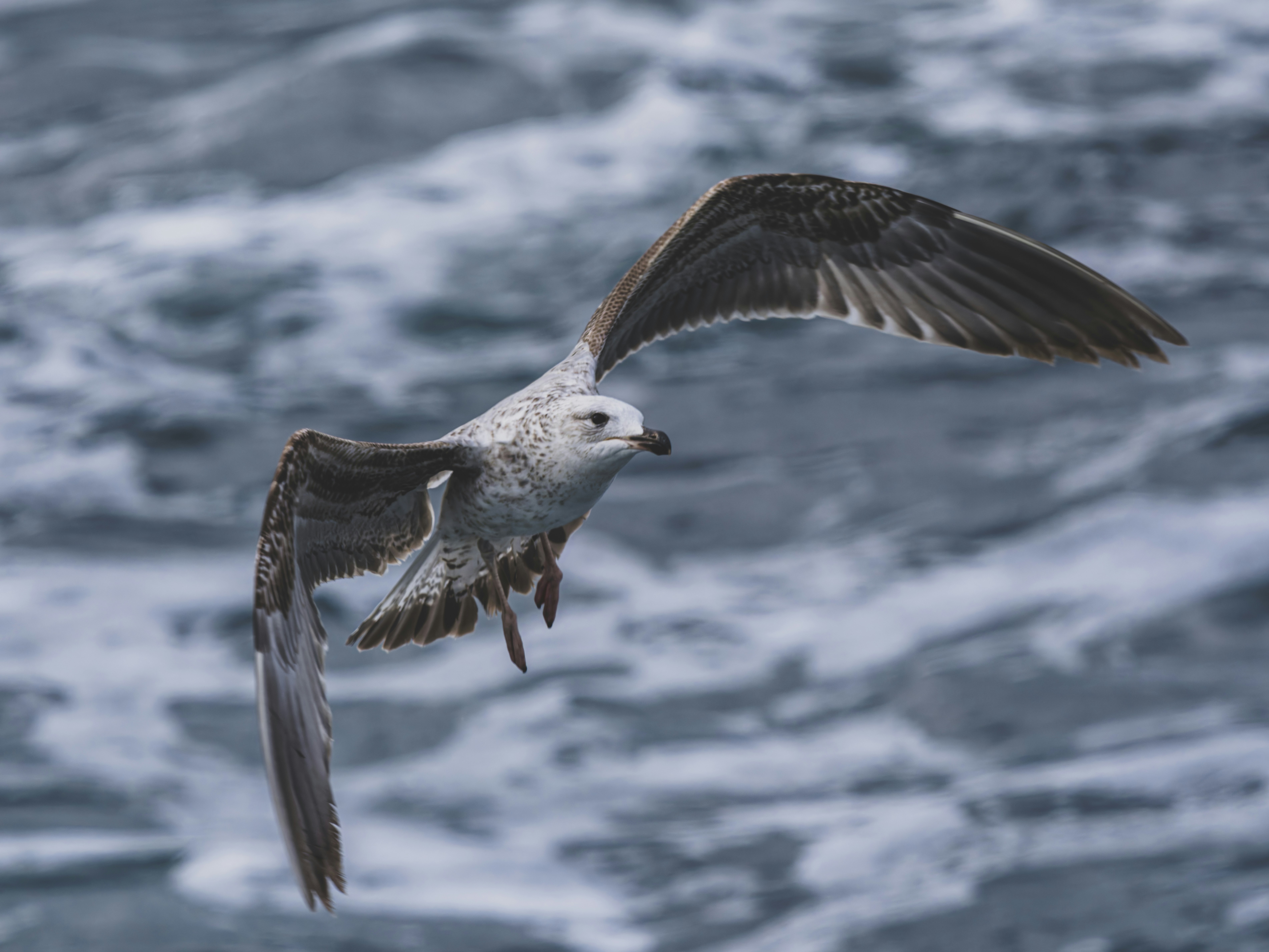 Photo by enginakyurt