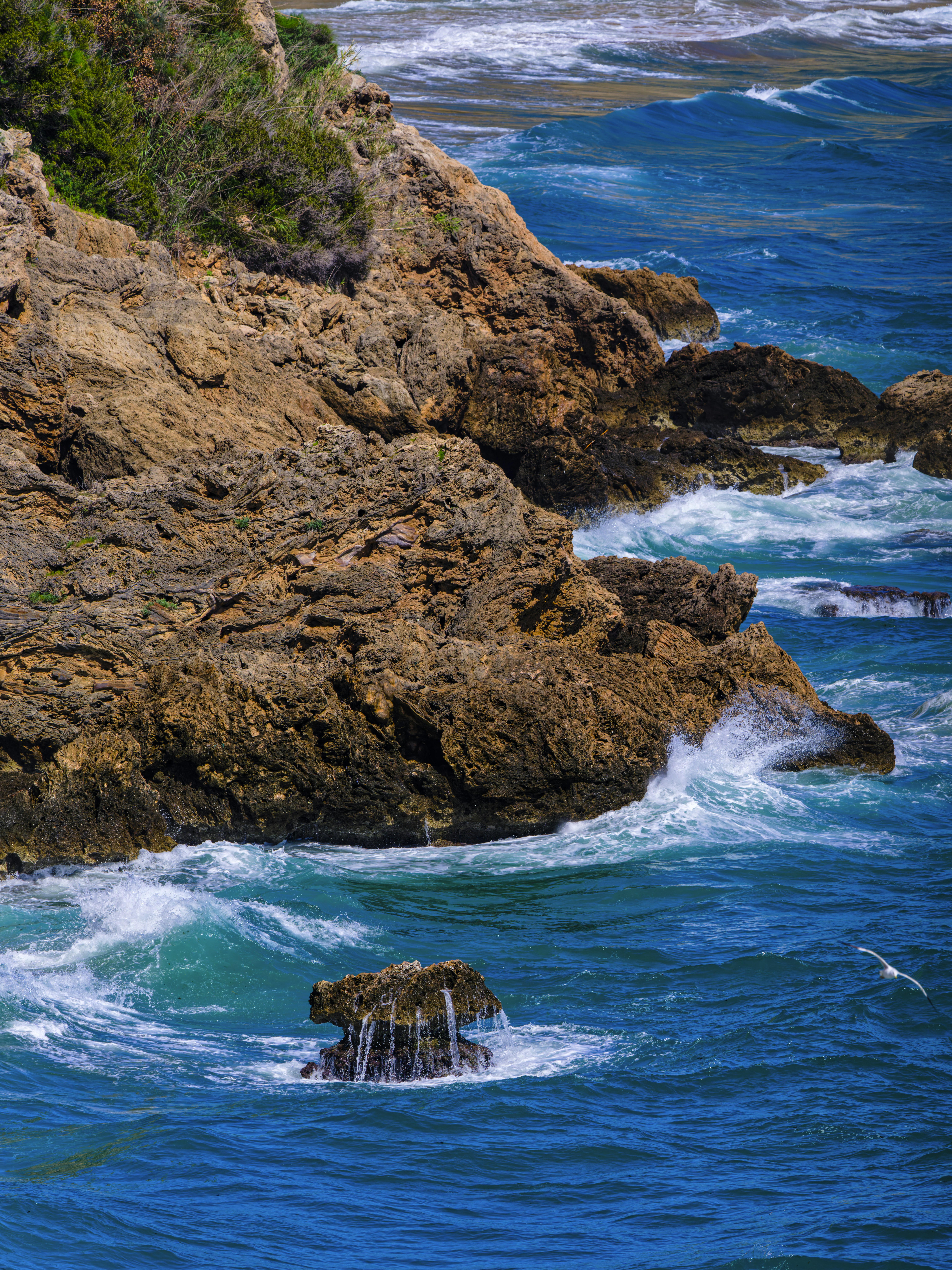 Photo by enginakyurt