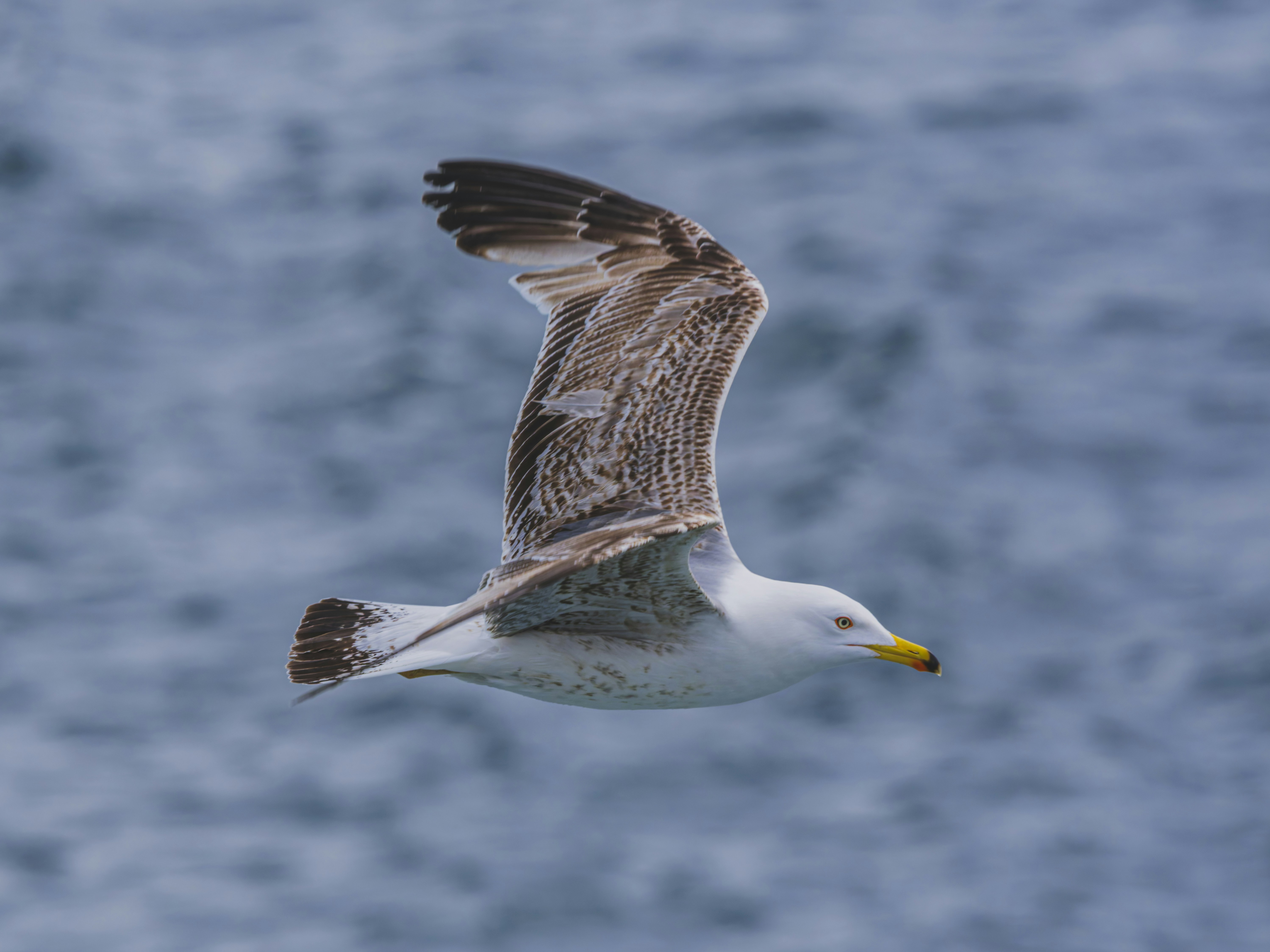 Photo by enginakyurt