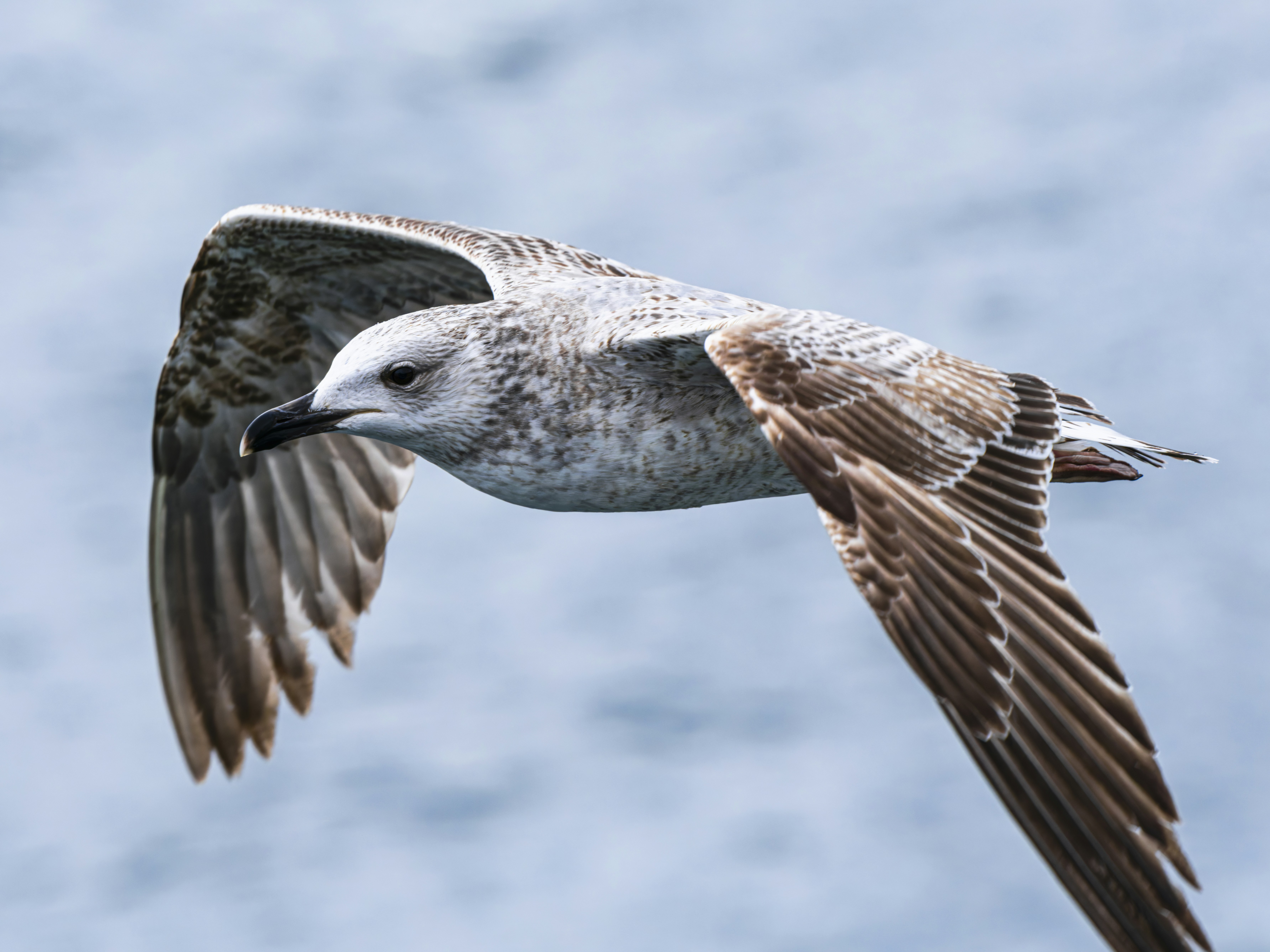 Photo by enginakyurt