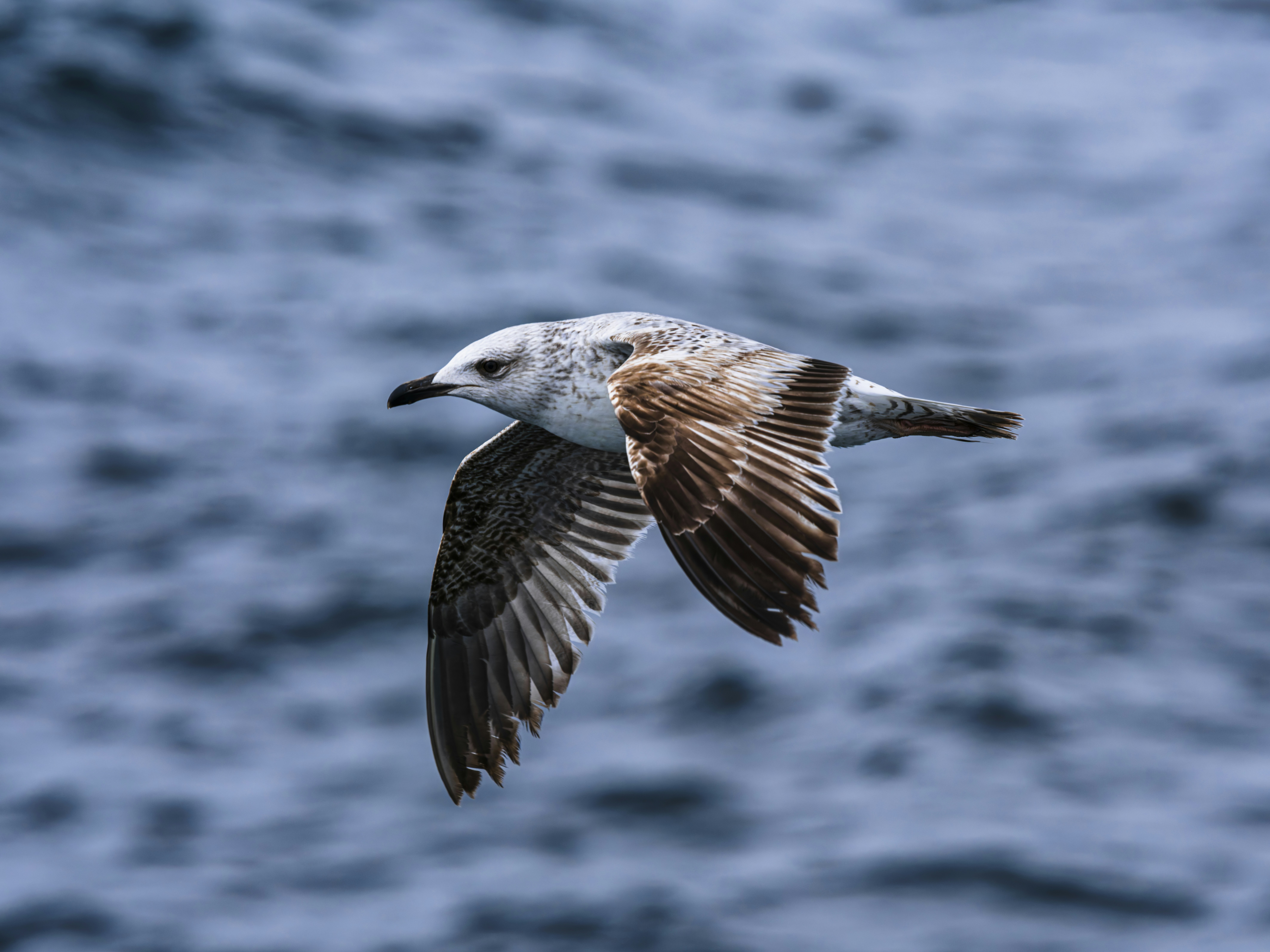 Photo by enginakyurt