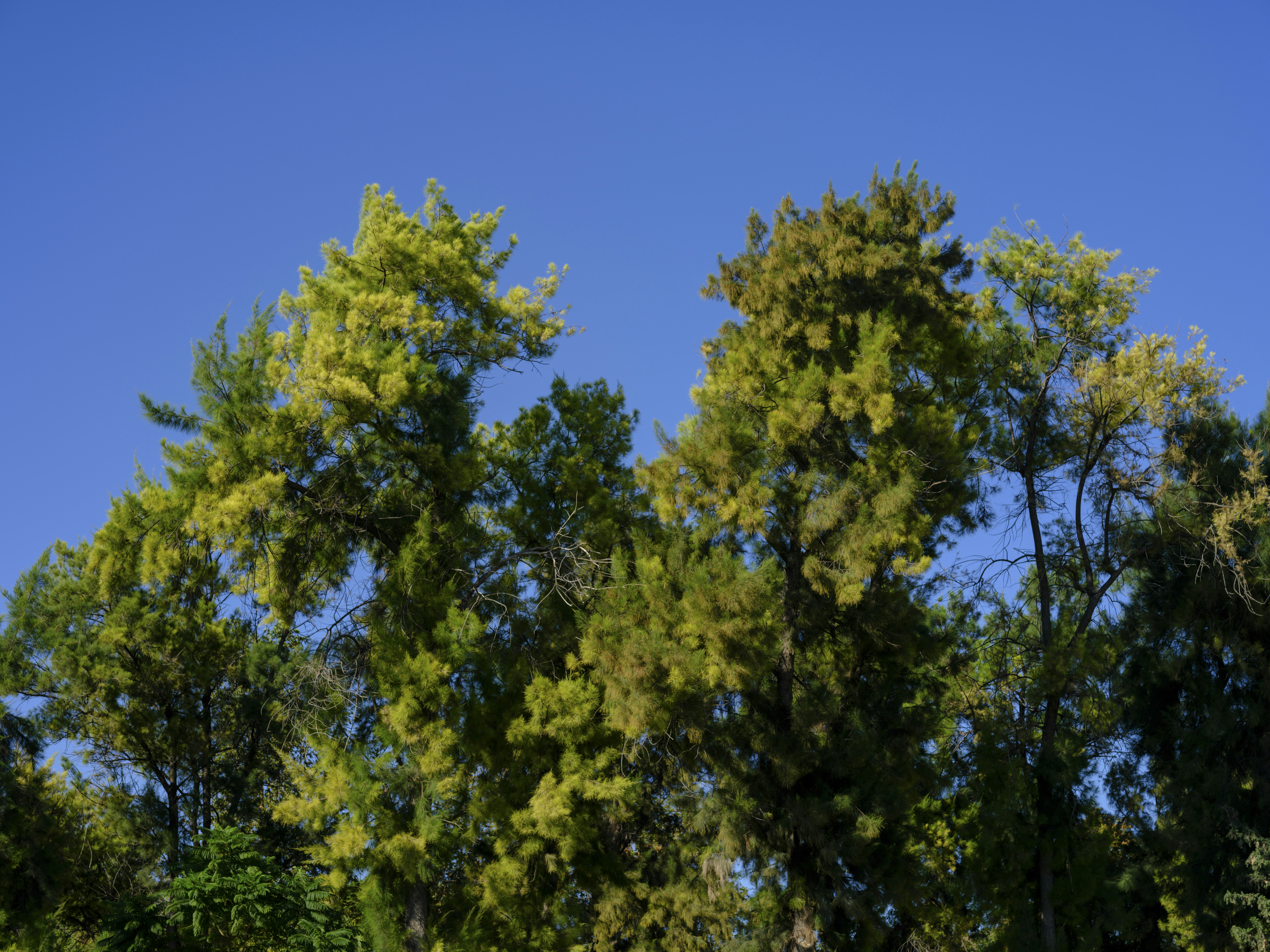 Photo by enginakyurt