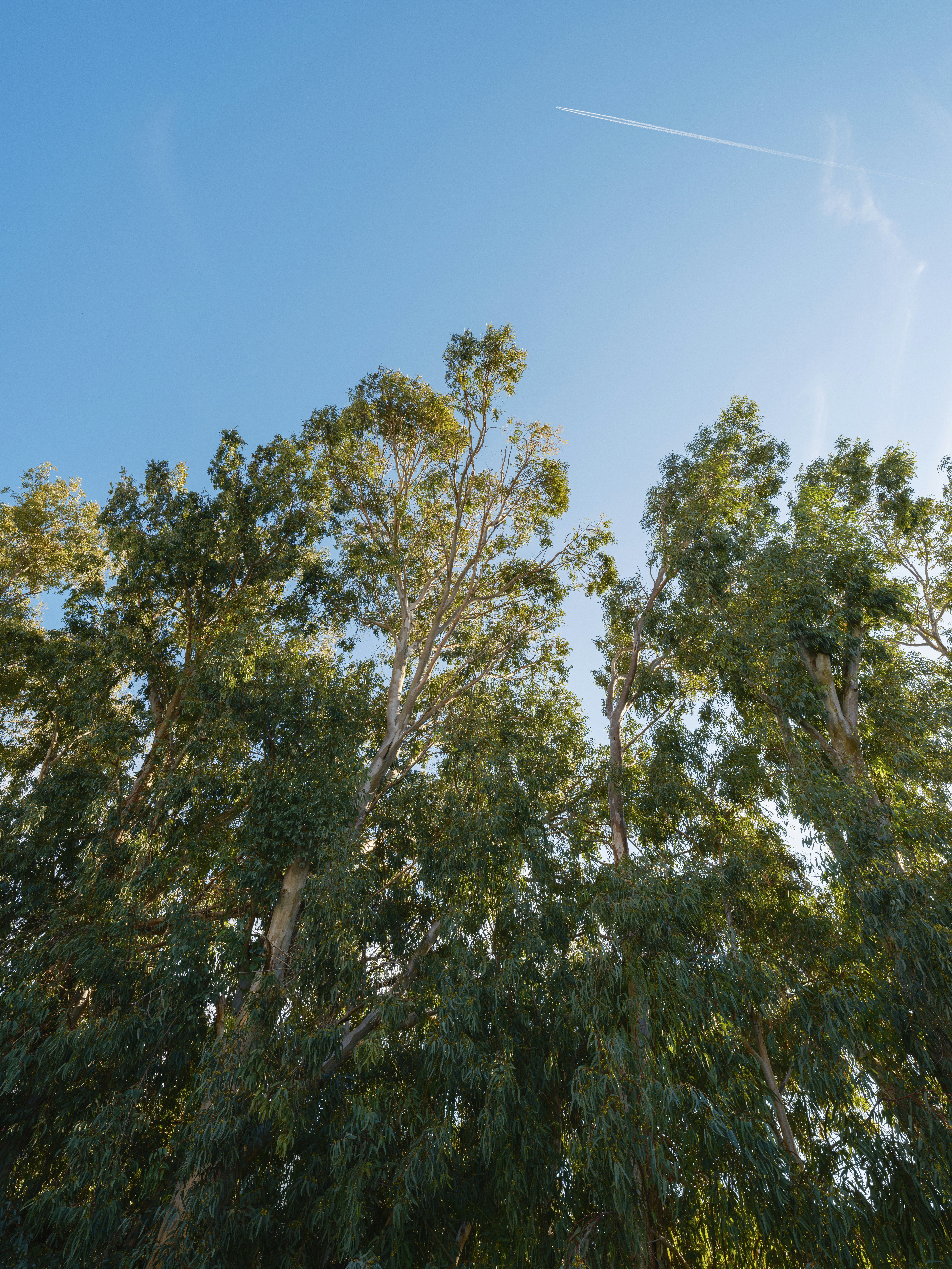 Photo by enginakyurt