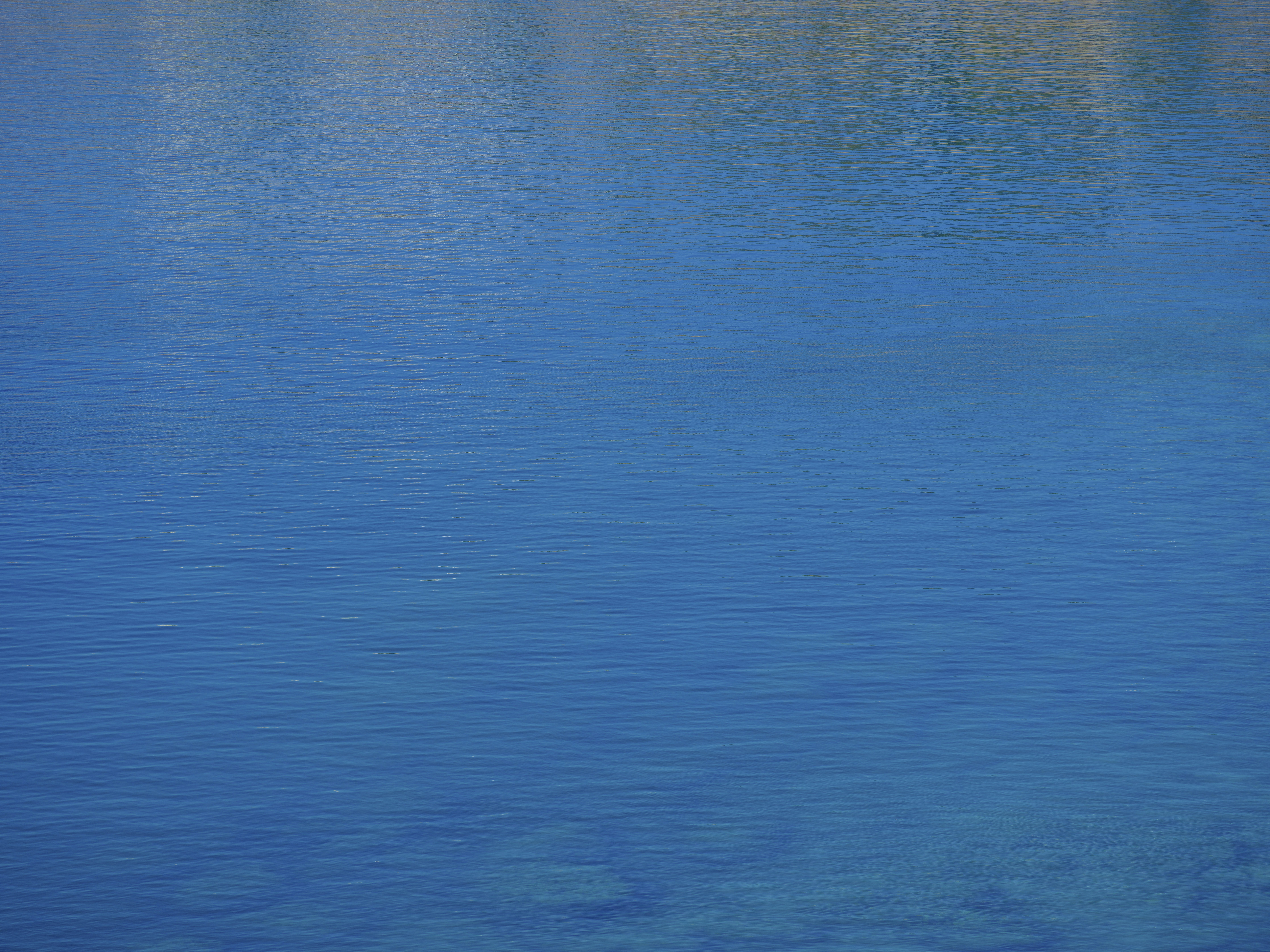 Photo by enginakyurt