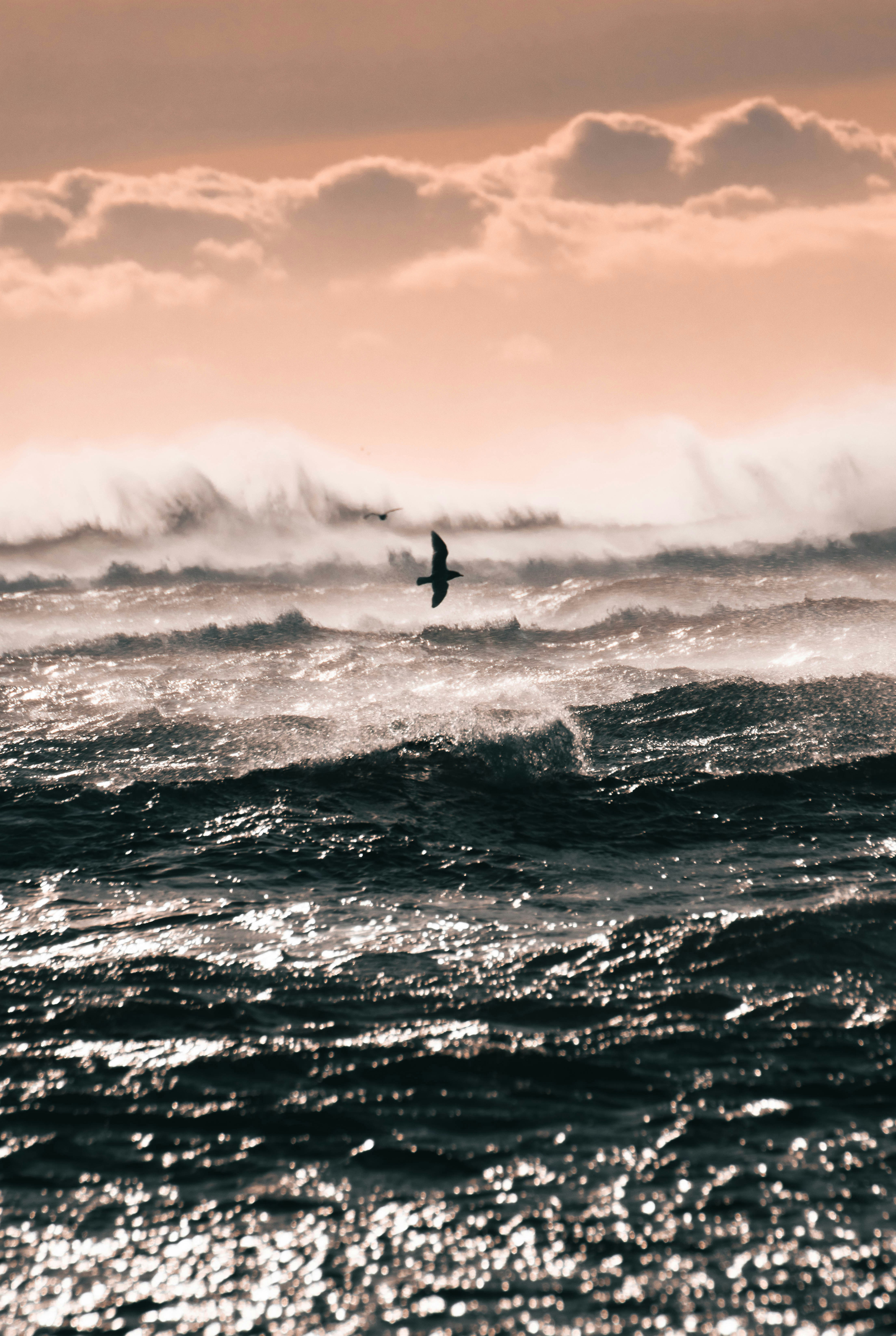 Photo by jonasdegener