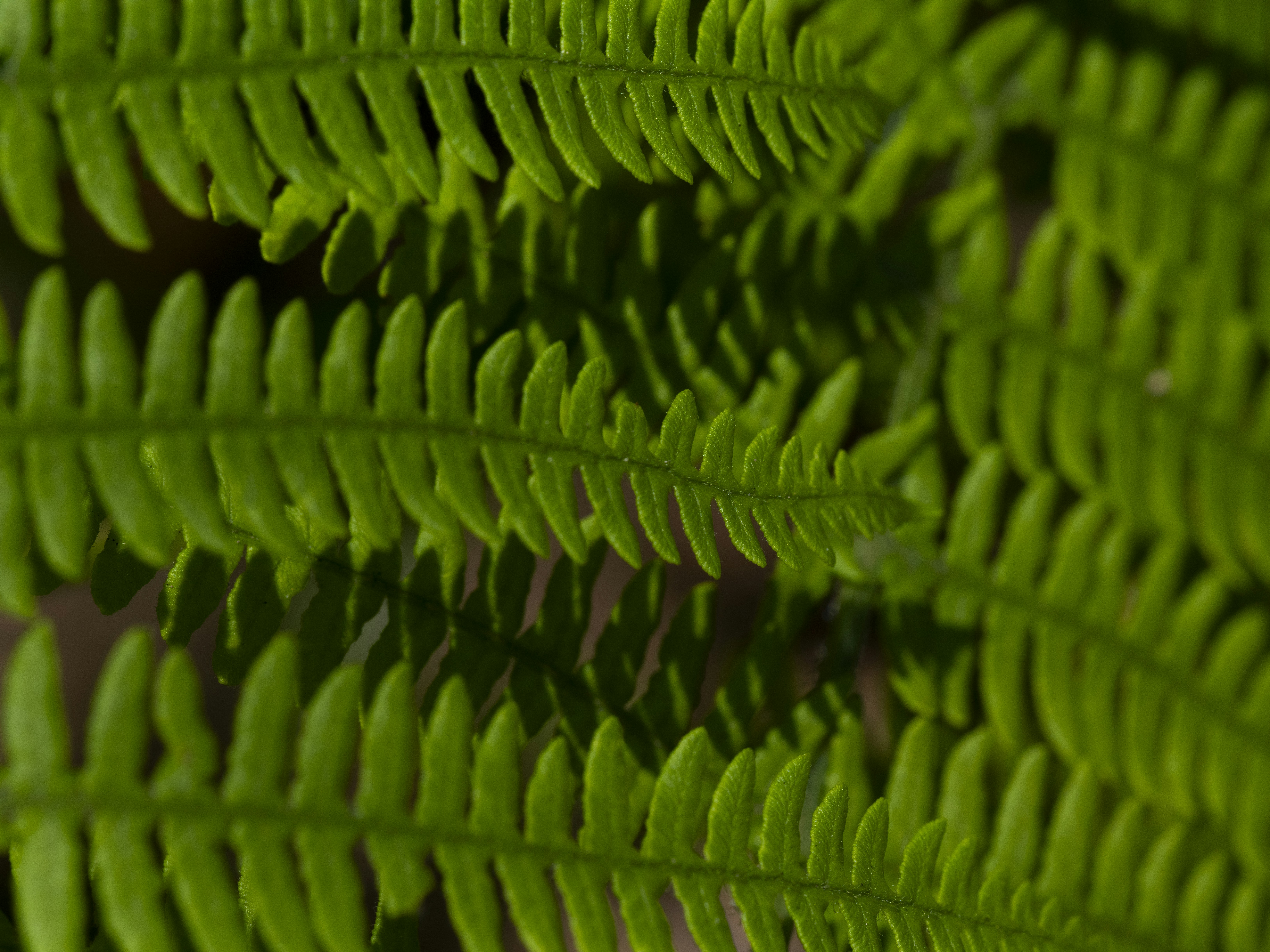 Photo by enginakyurt