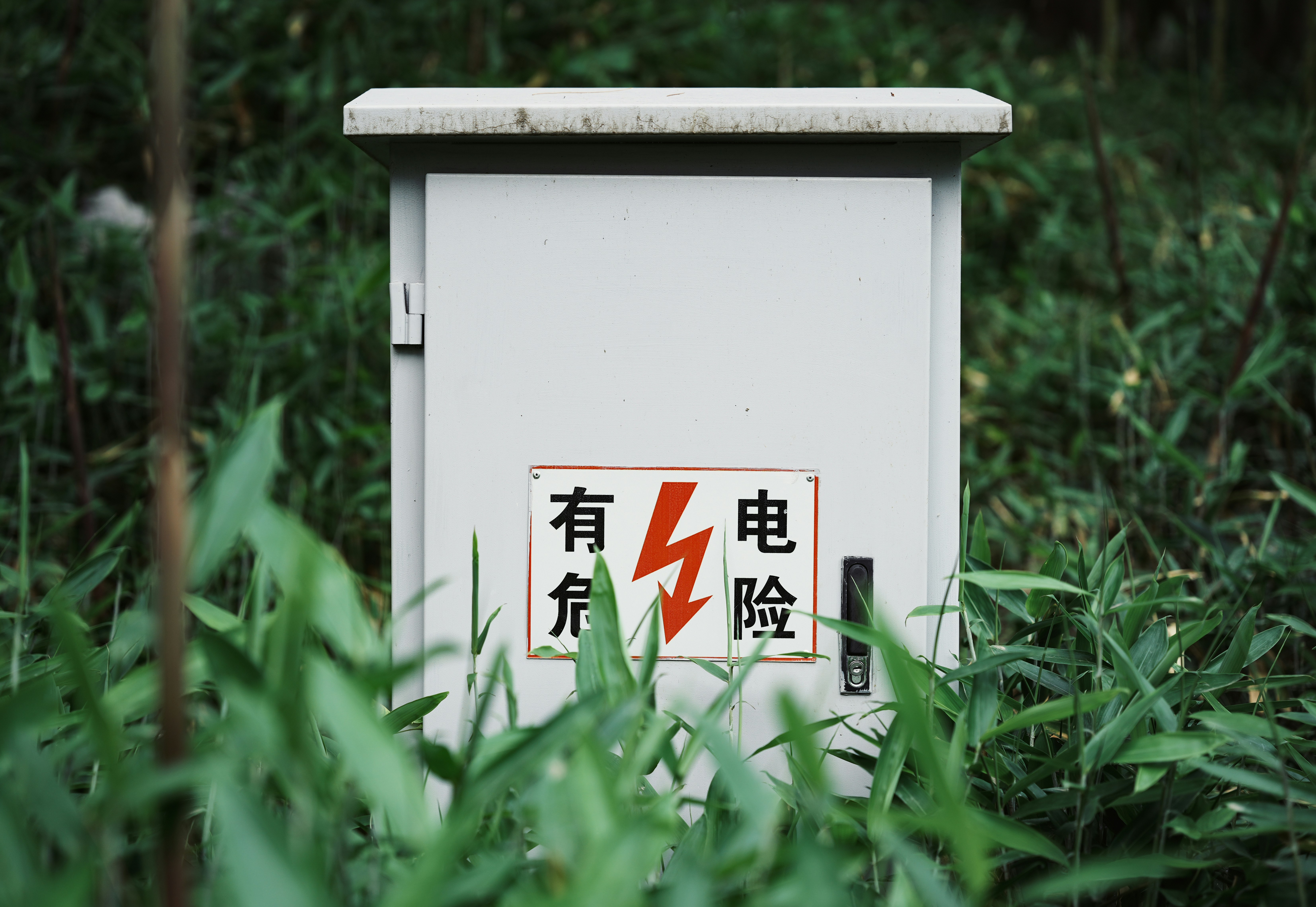 photo-1749801607922-68058ab59f8a?ixid=M3wxMjA3fDB8MXxzZWFyY2h8OHx8dGh1aXNiYXR0ZXJpanxlbnwwfHx8fDE3NTg0MjUwMDd8MA\u0026ixlib=rb-4.1.0