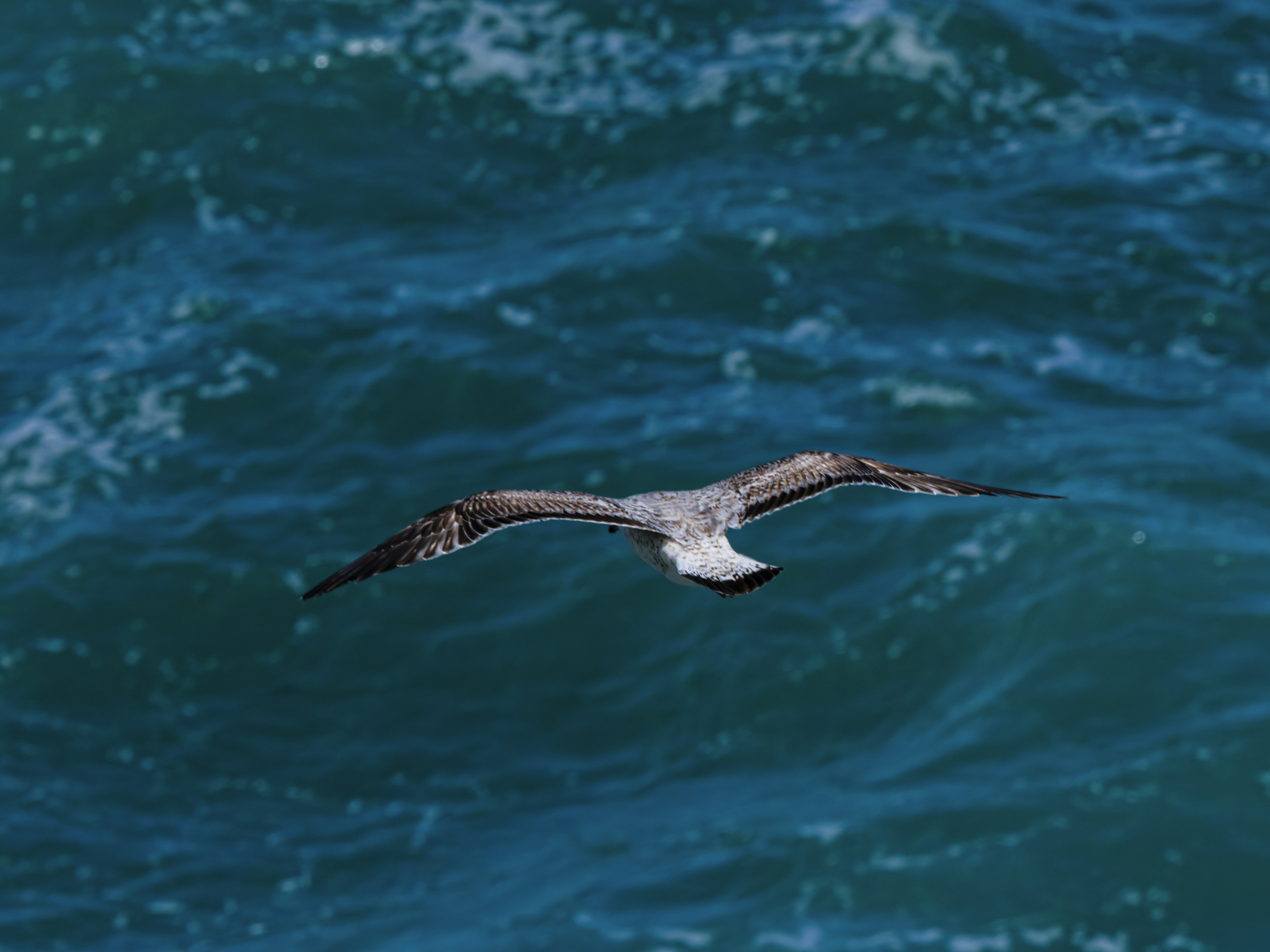 Photo by enginakyurt