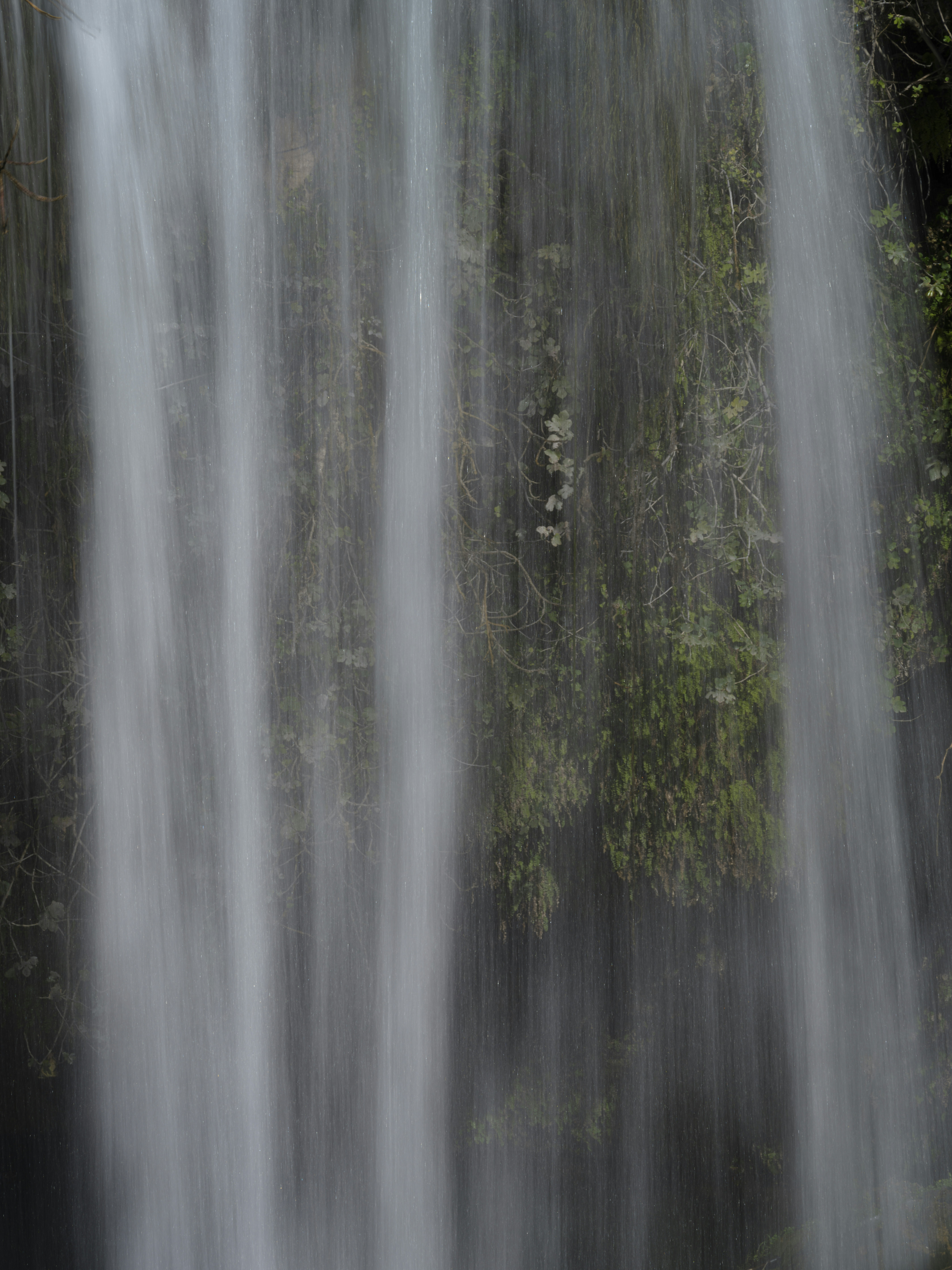 Photo by enginakyurt