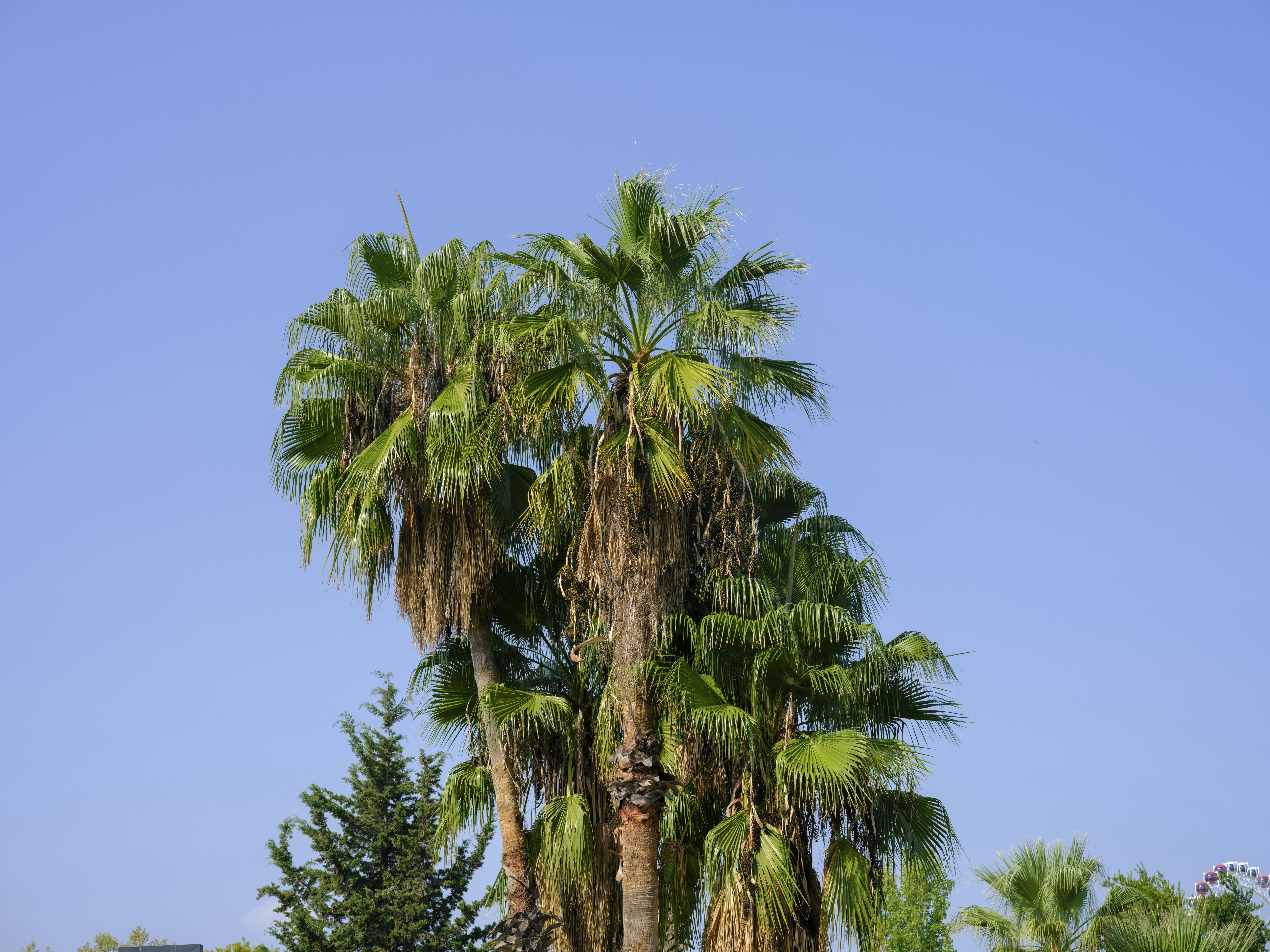 Photo by enginakyurt