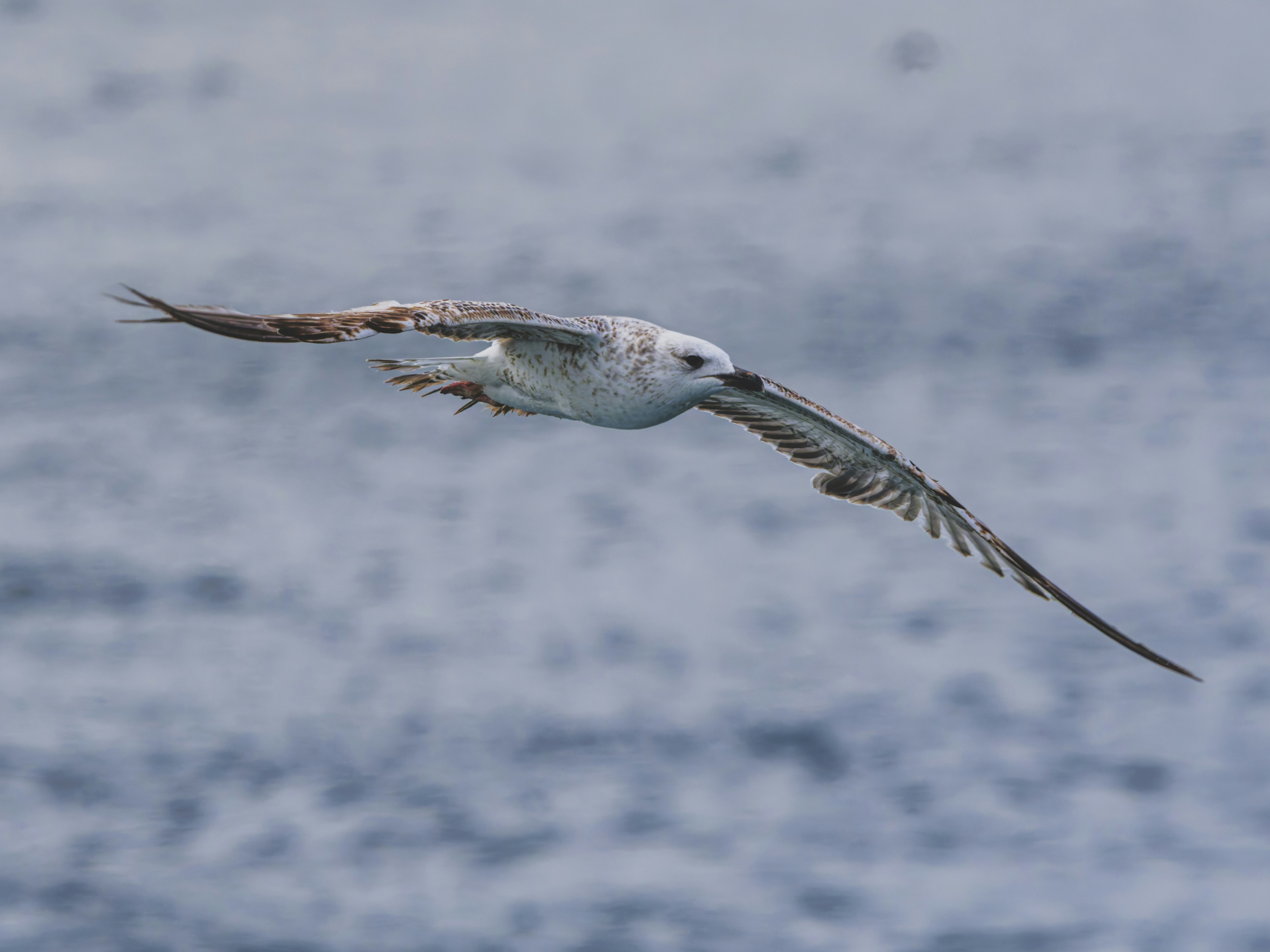 Photo by enginakyurt