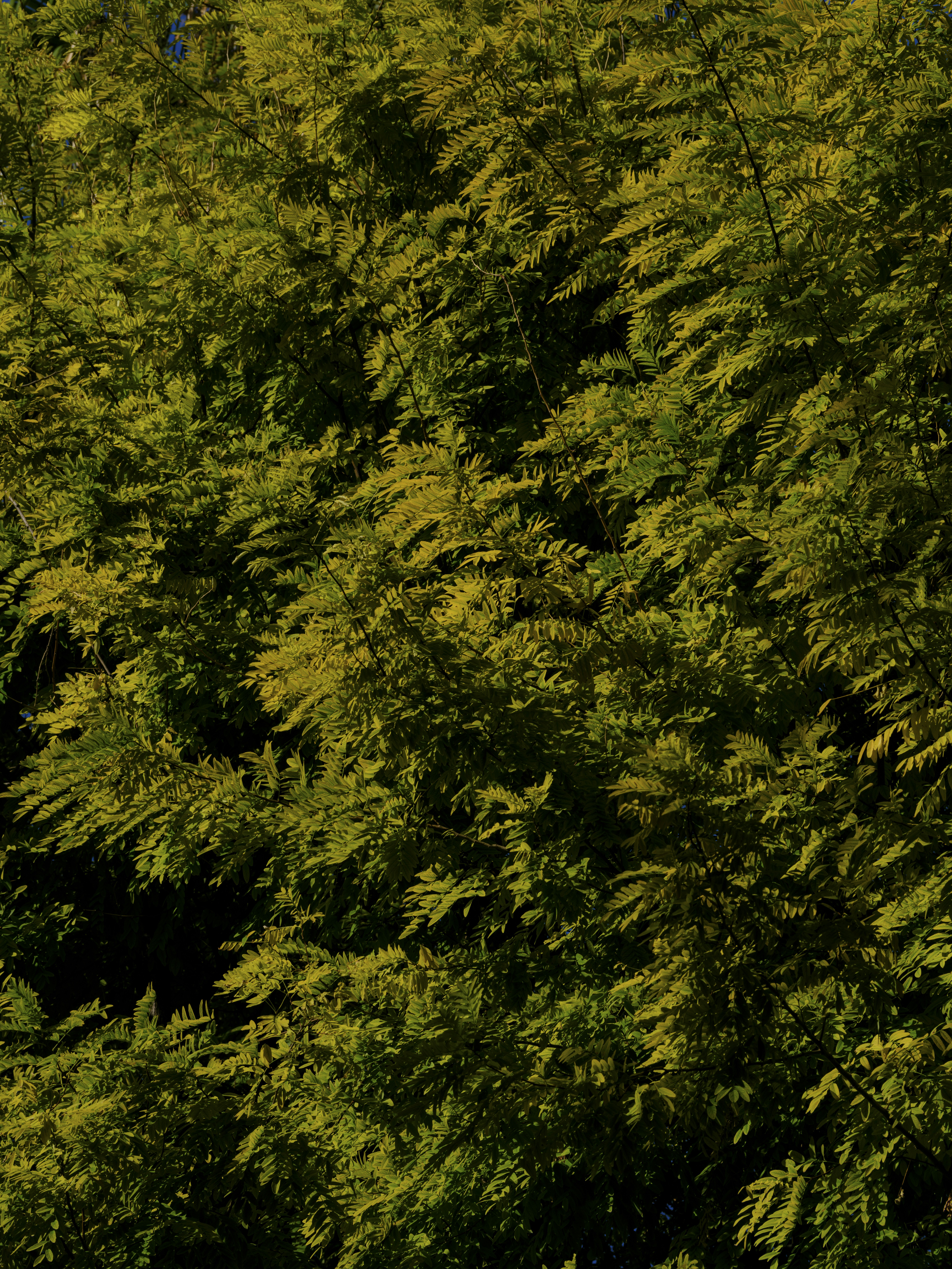 Photo by enginakyurt