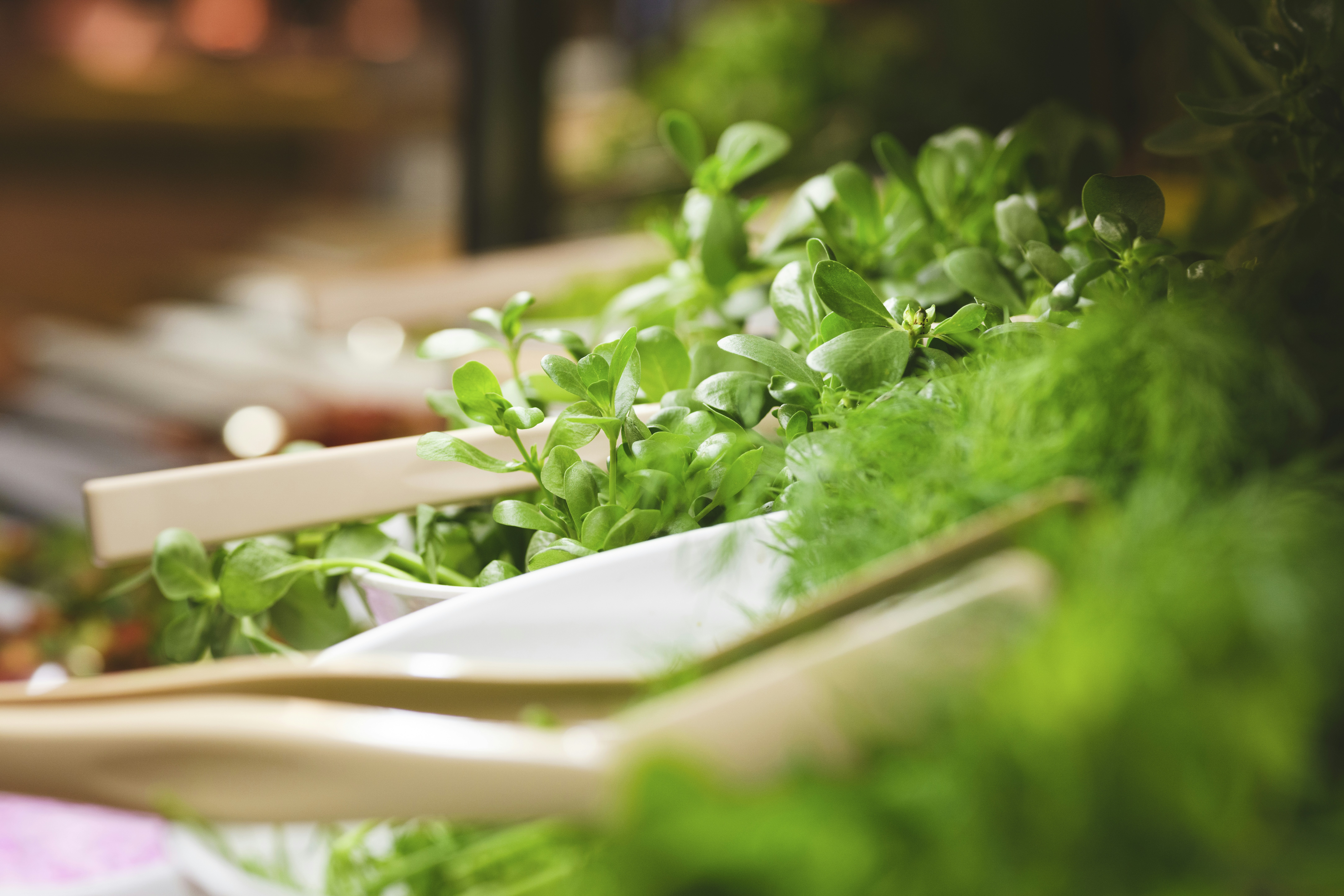 Photo by enginakyurt