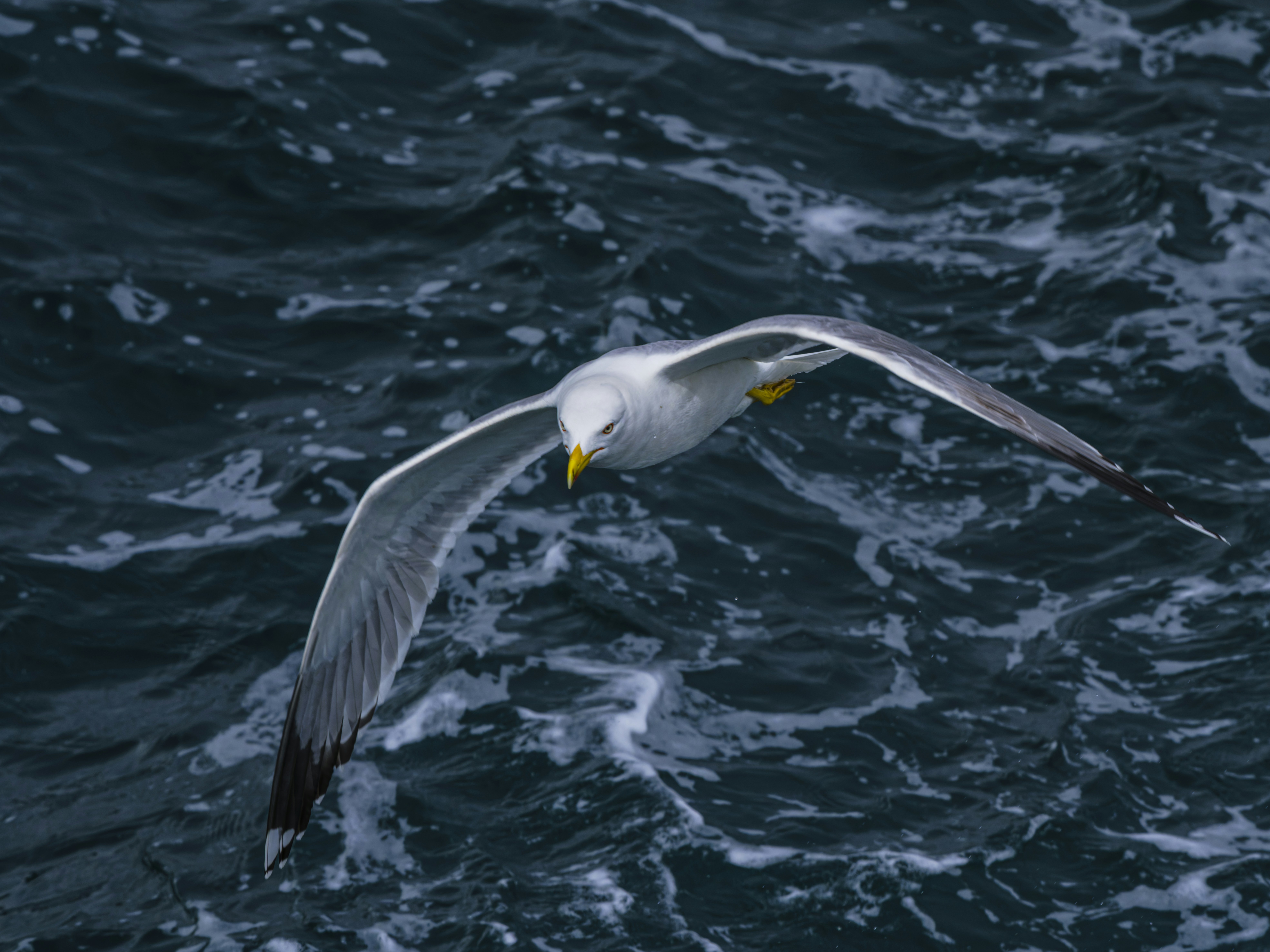 Photo by enginakyurt