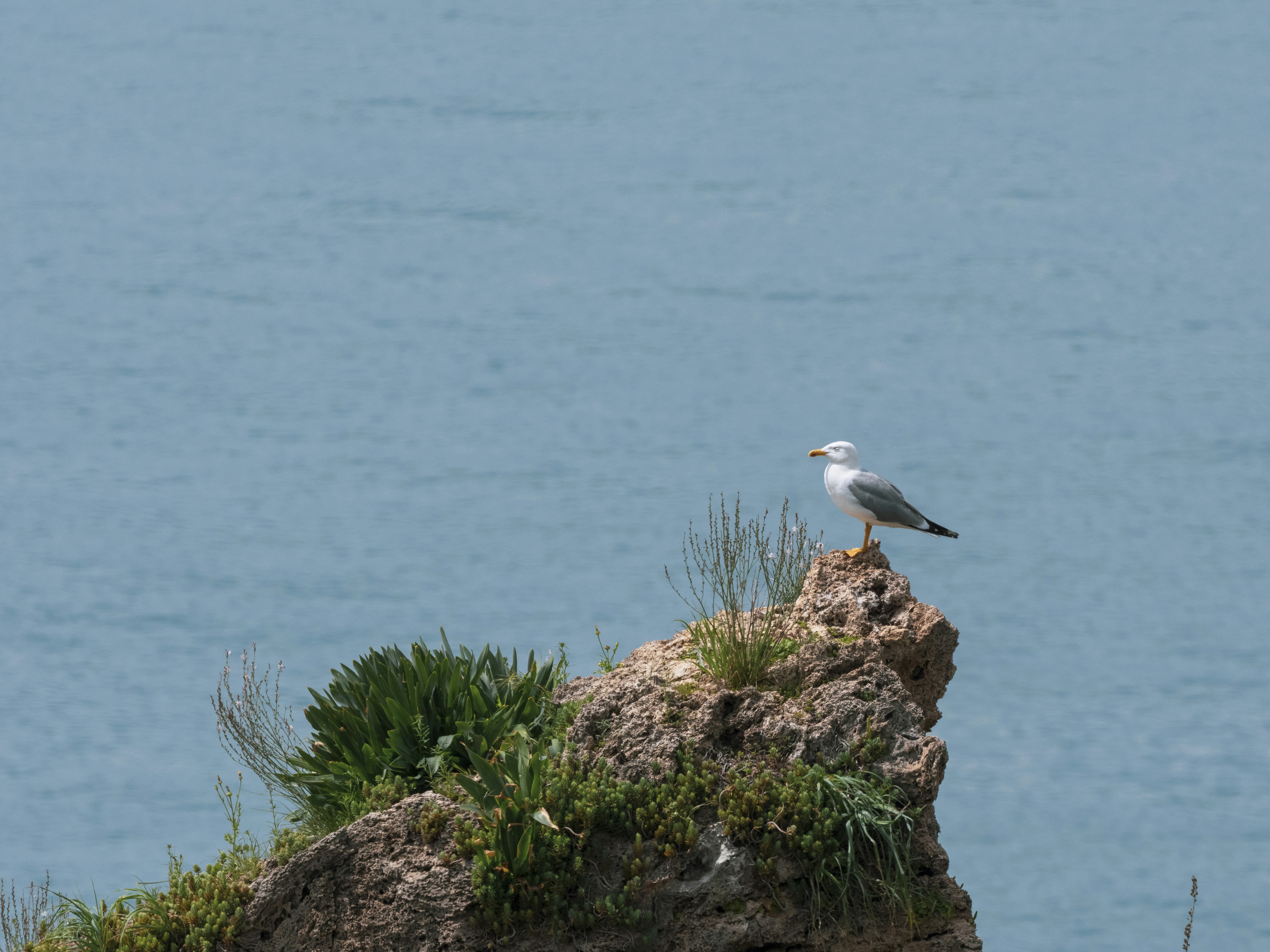 Photo by enginakyurt