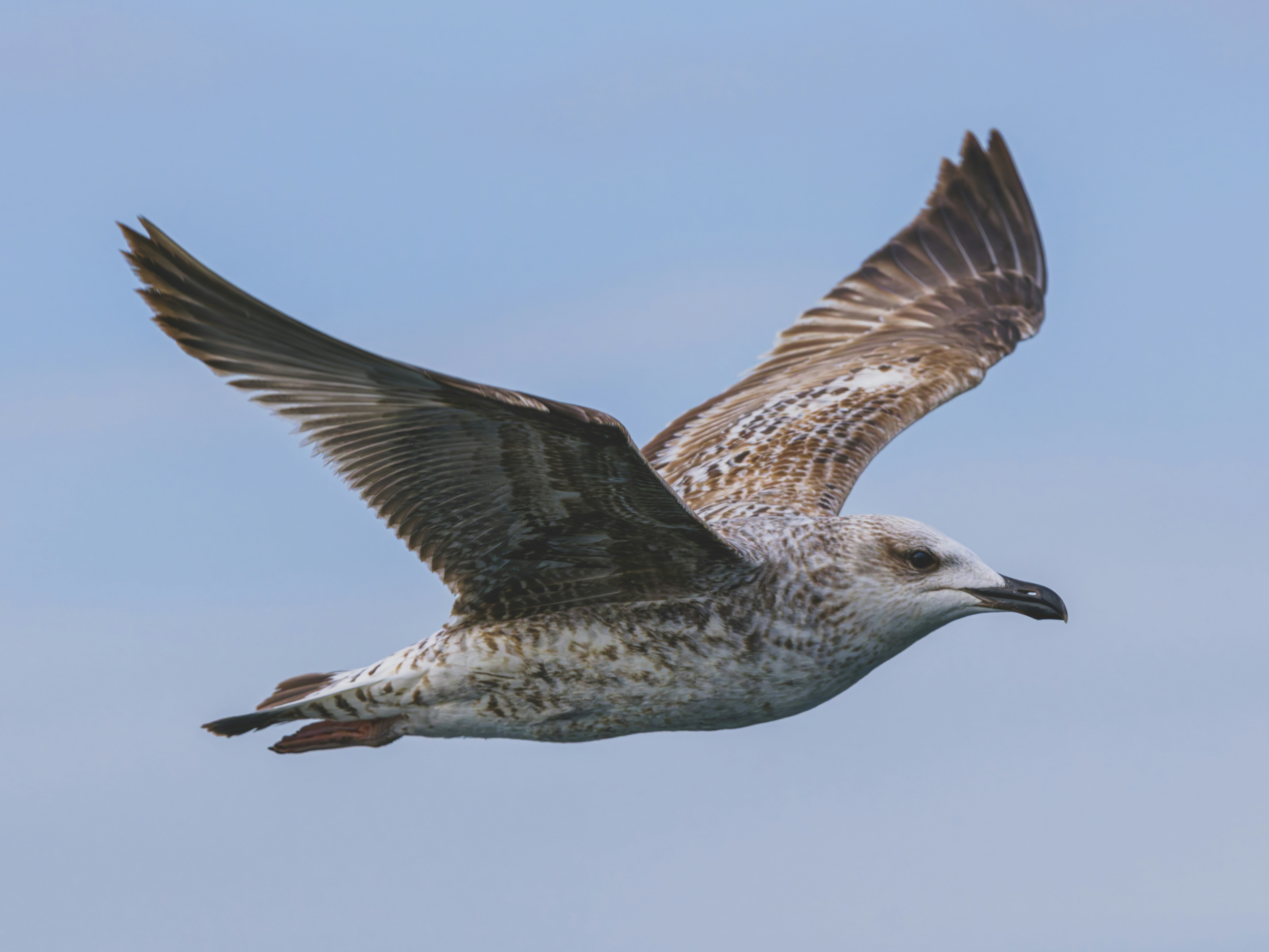 Photo by enginakyurt