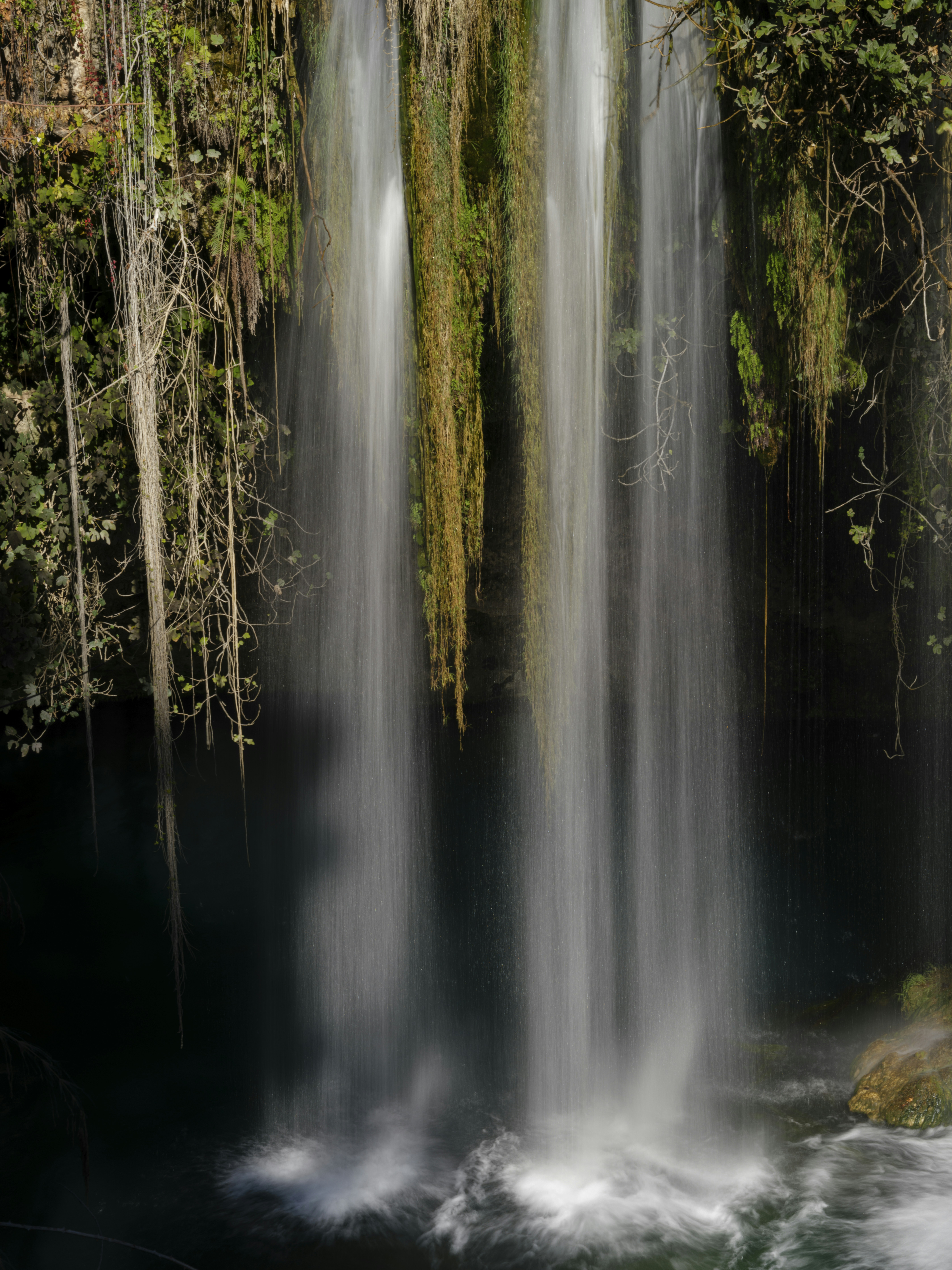 Photo by enginakyurt