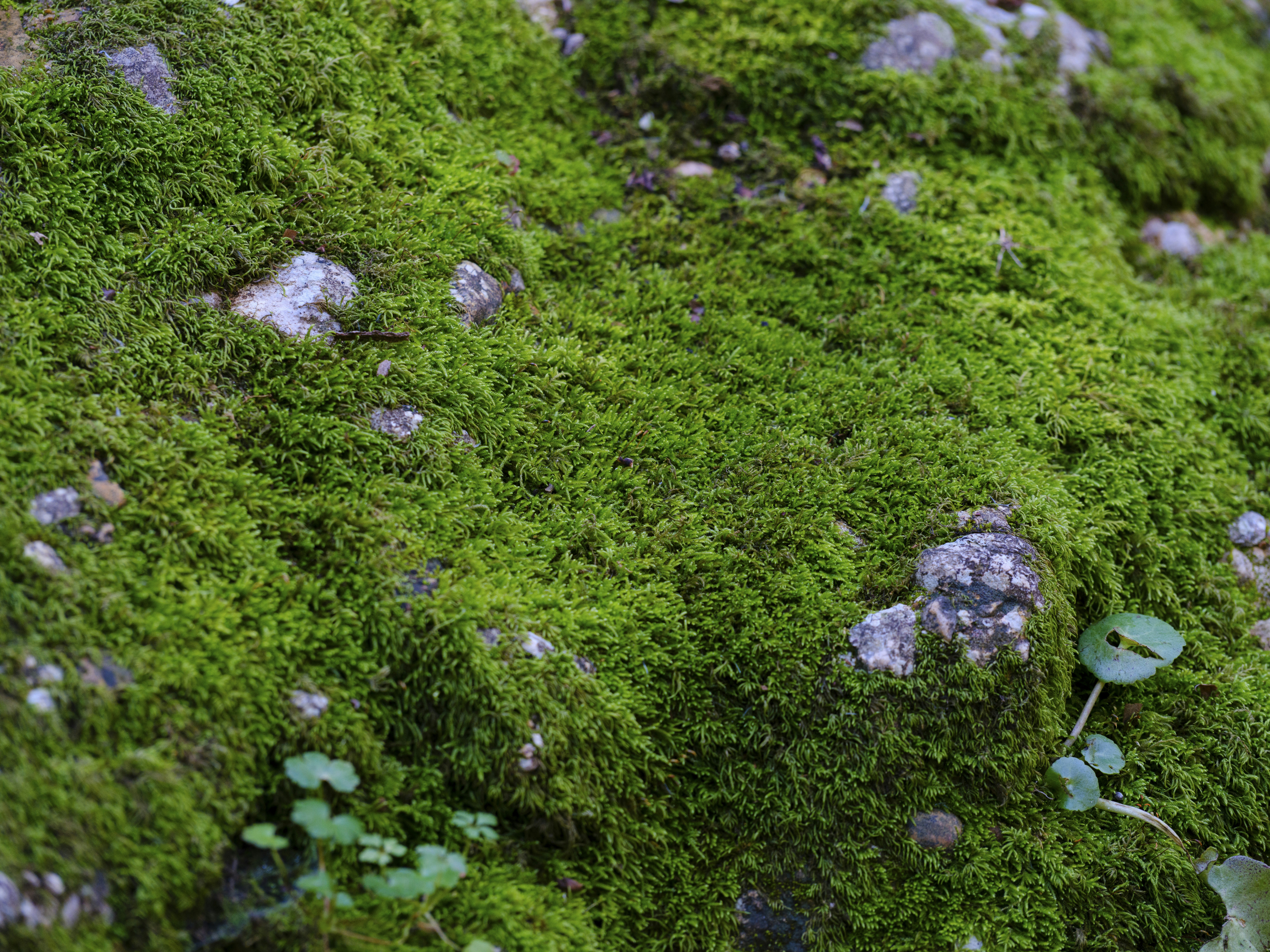 Photo by enginakyurt